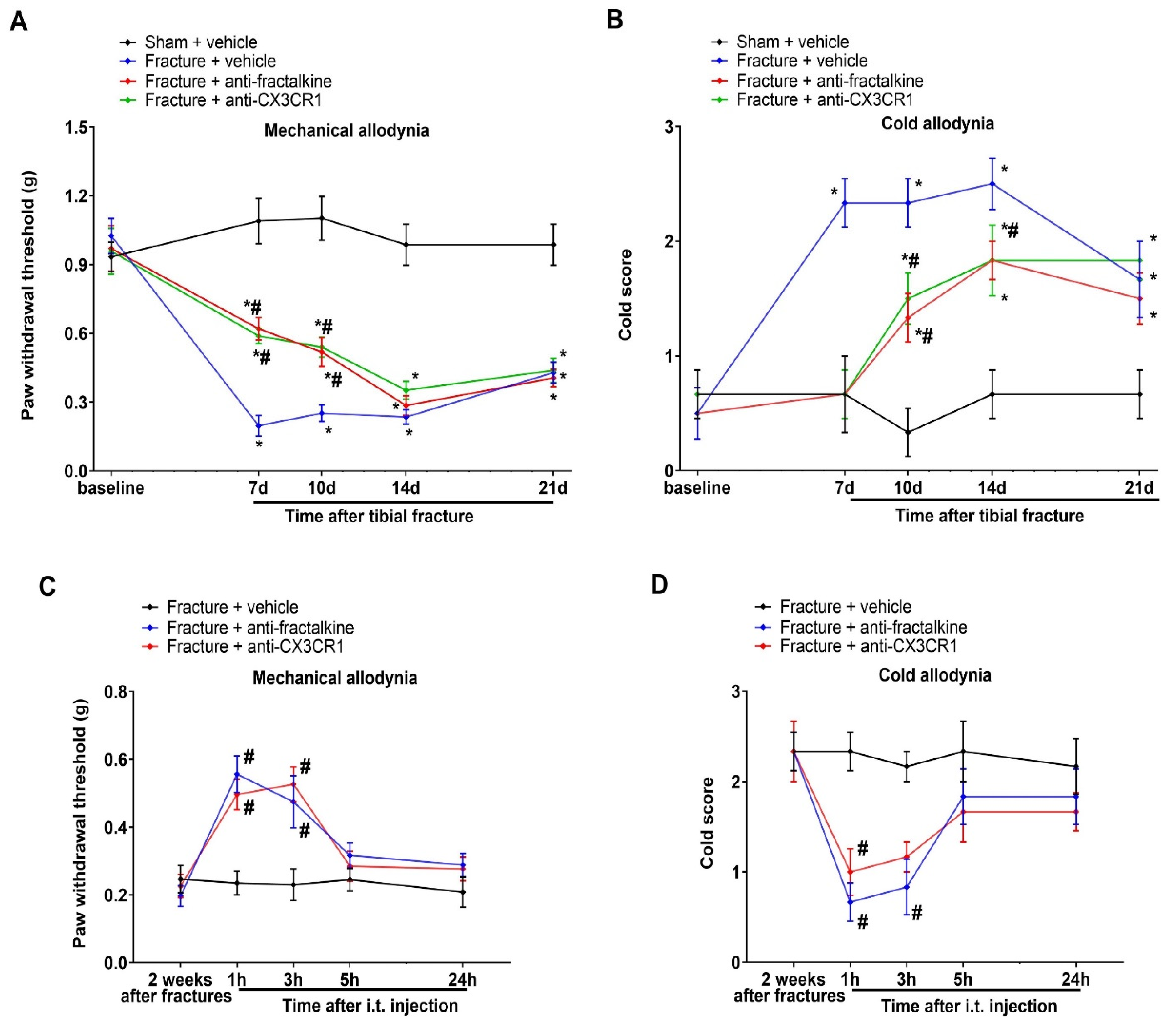 Brainsci 13 00739 g004