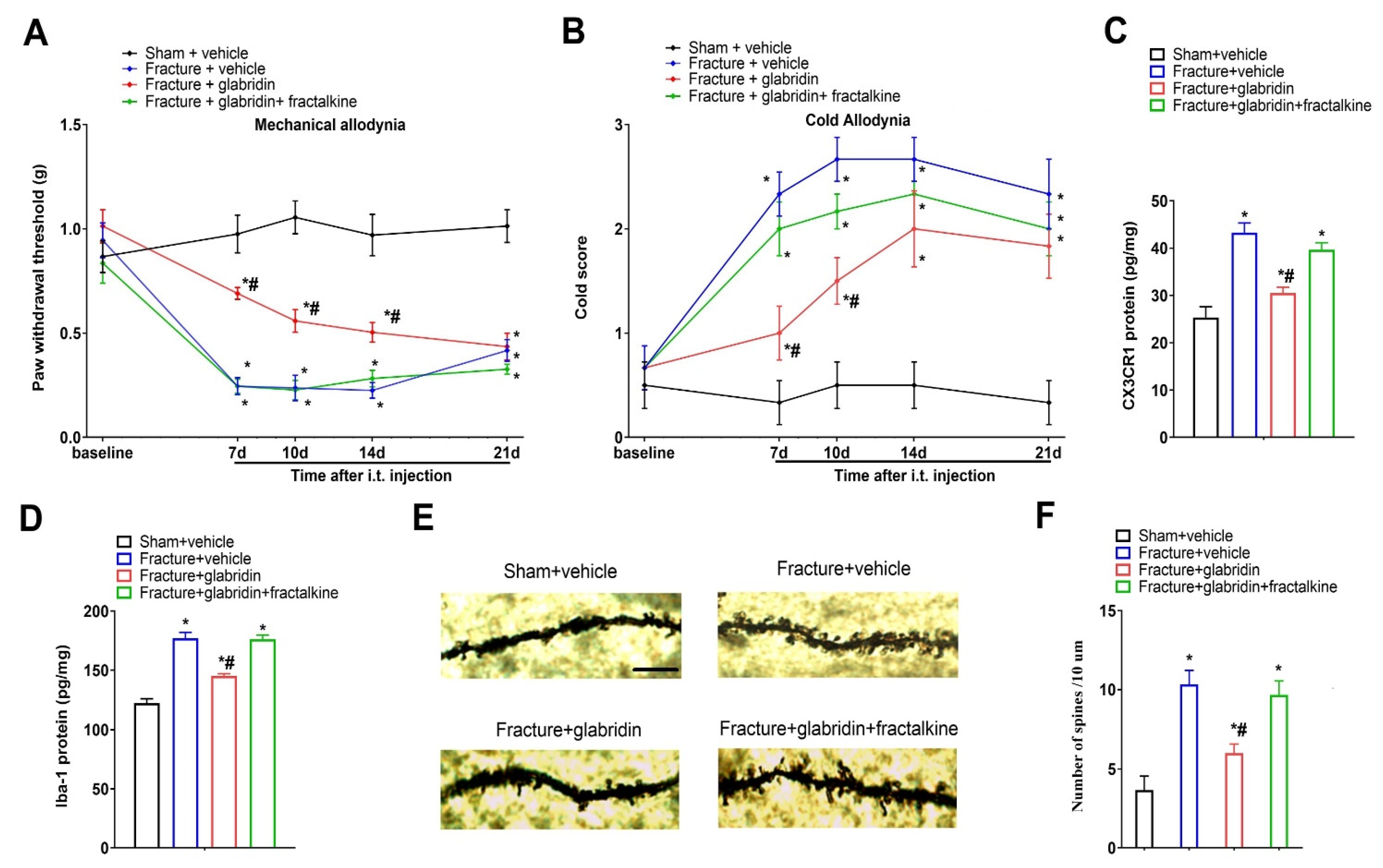 Brainsci 13 00739 g005
