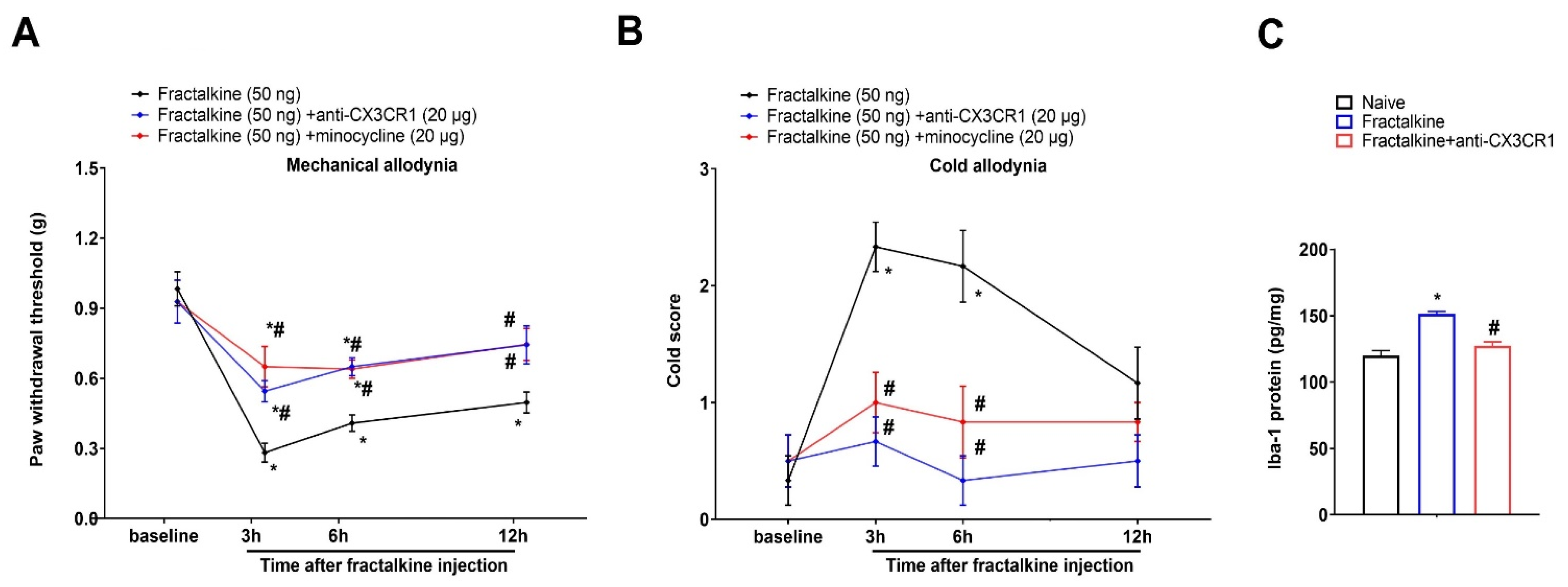 Brainsci 13 00739 g006