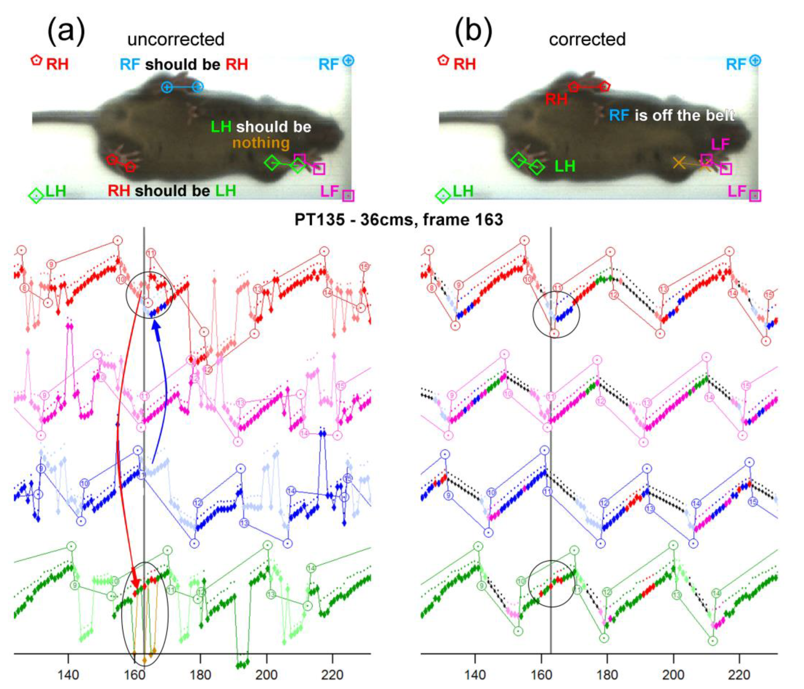 Brainsci 13 00743 g001