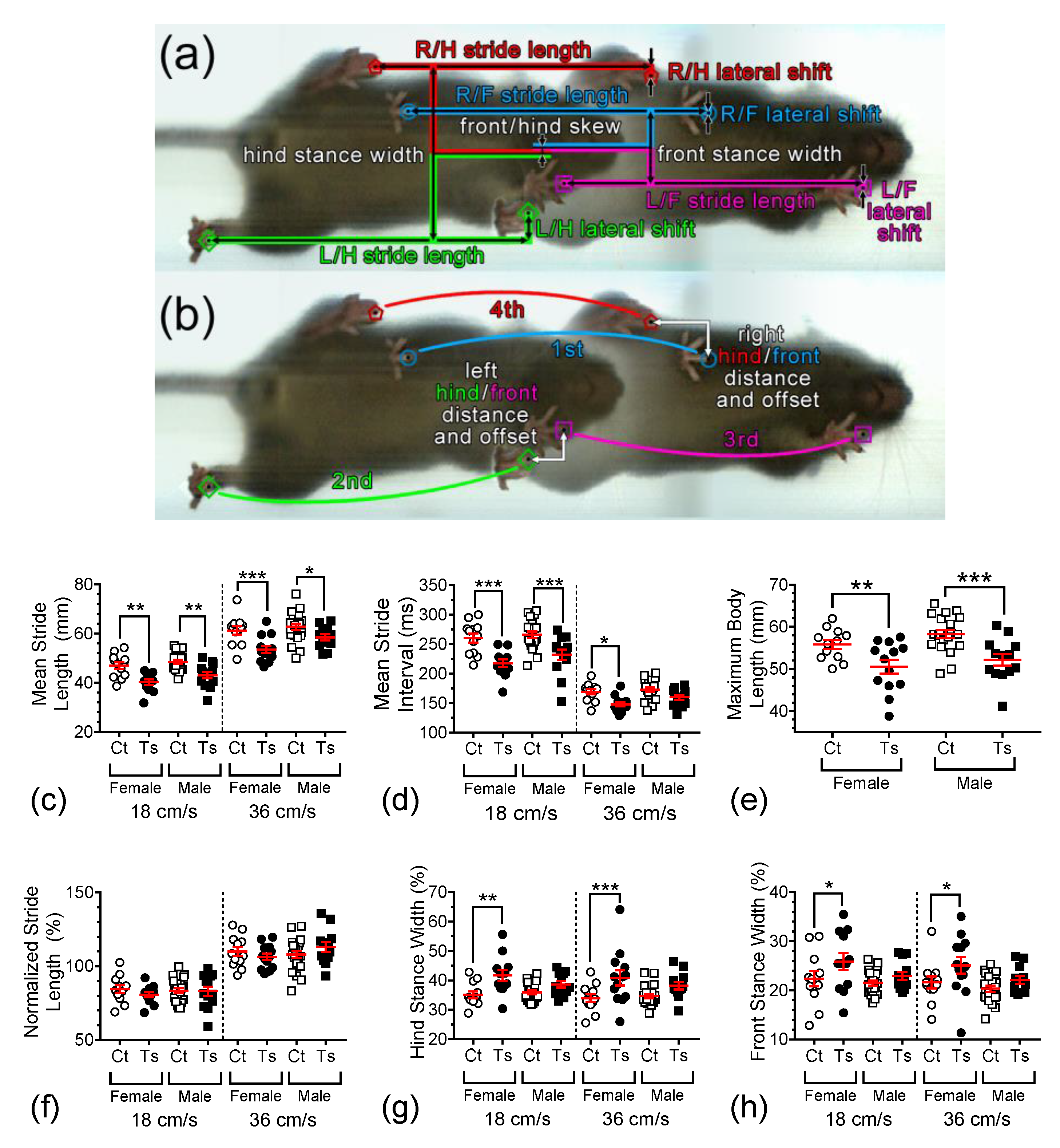 Brainsci 13 00743 g003