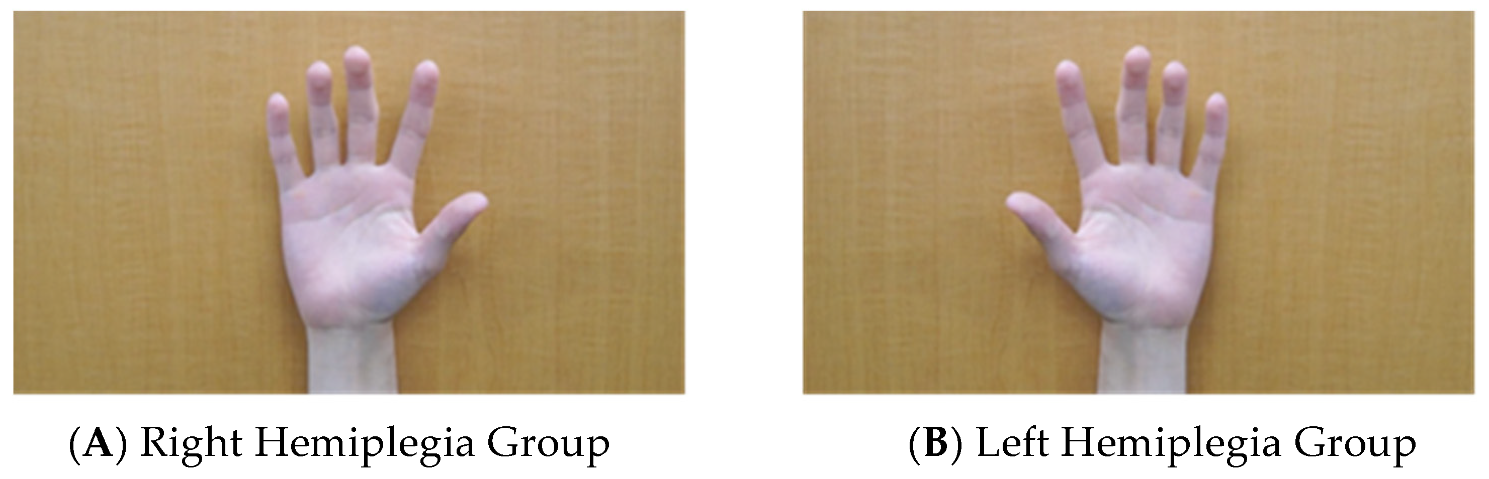 Brainsci 13 00748 g001