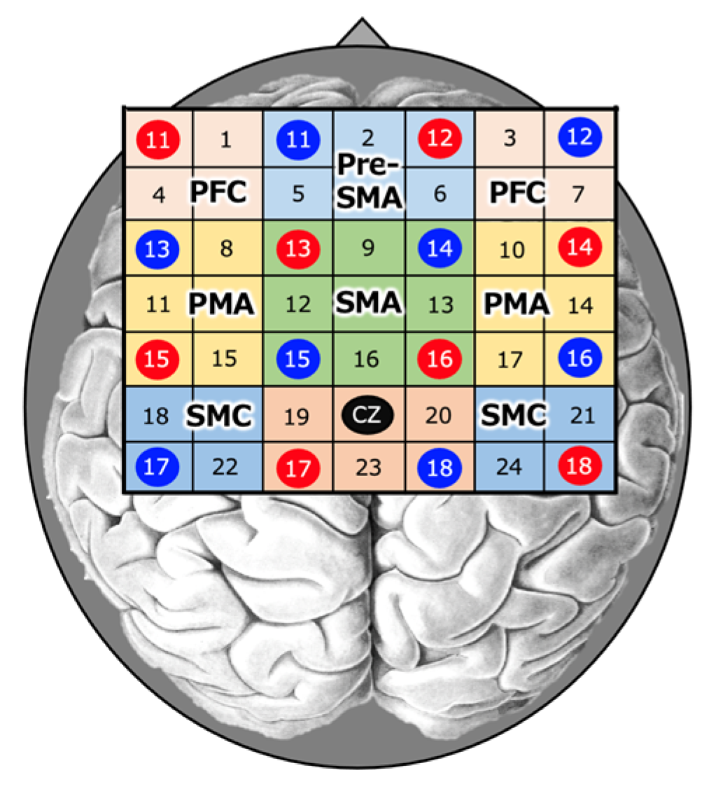 Brainsci 13 00748 g002