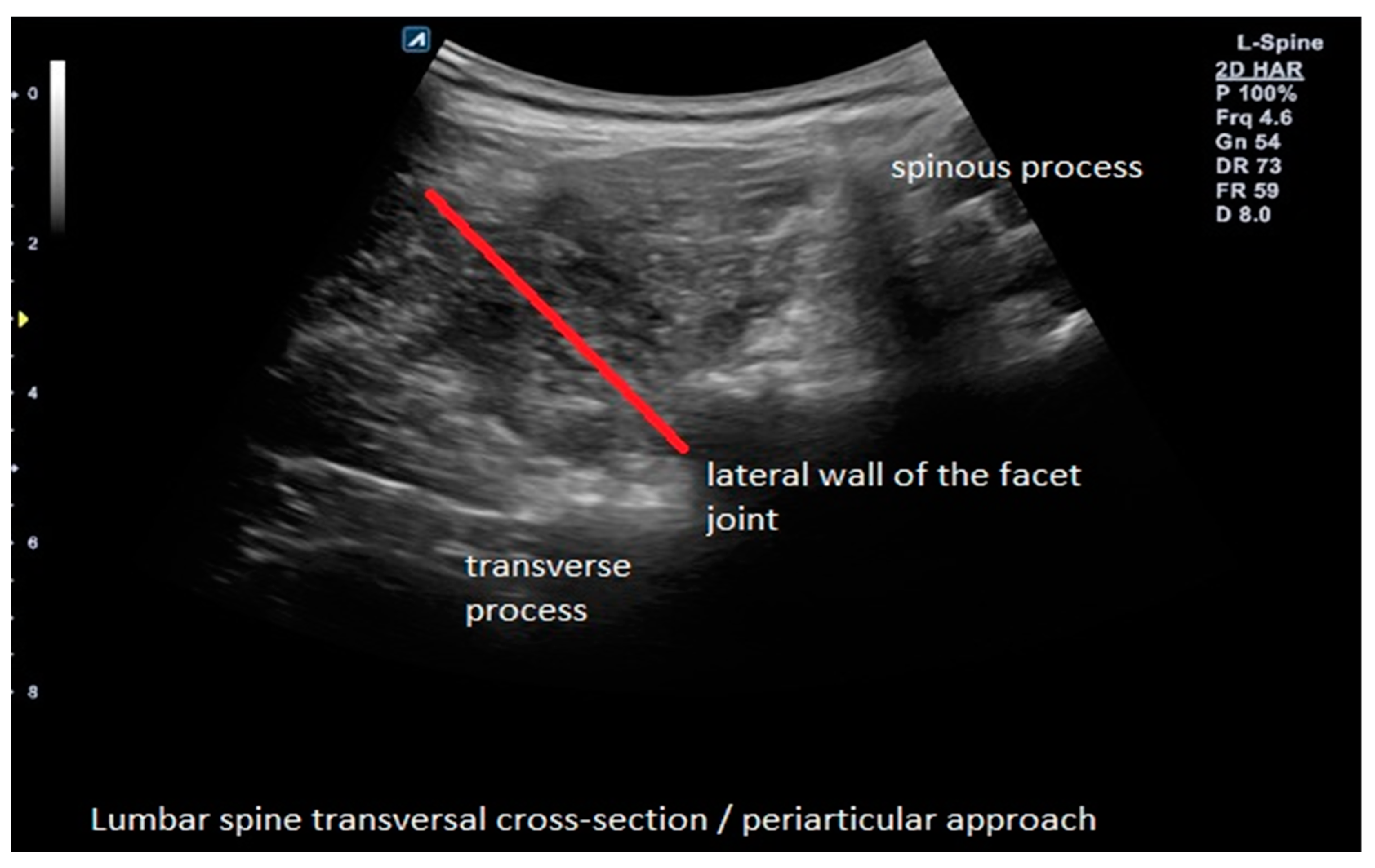 Brainsci 13 00749 g001