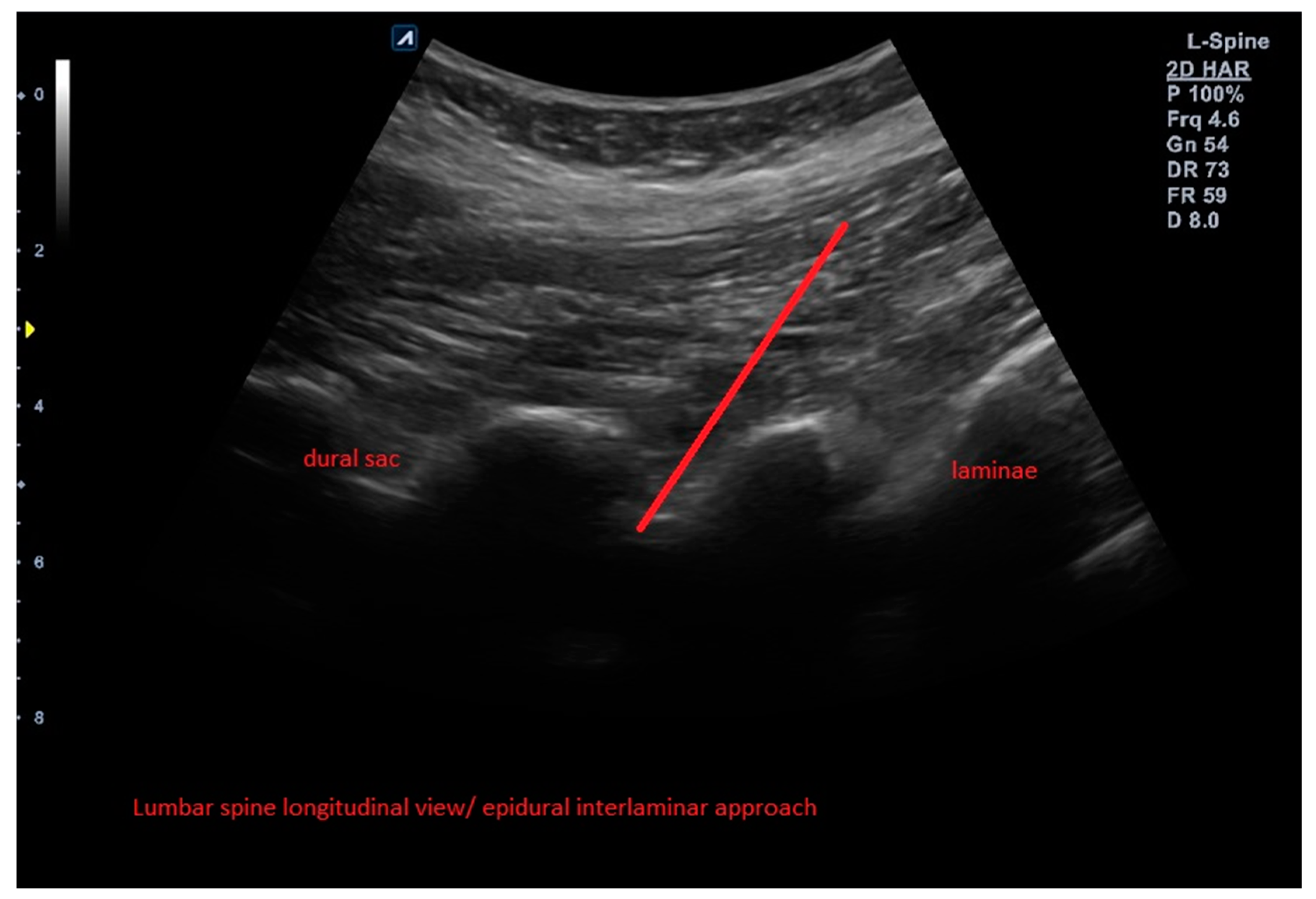 Brainsci 13 00749 g002