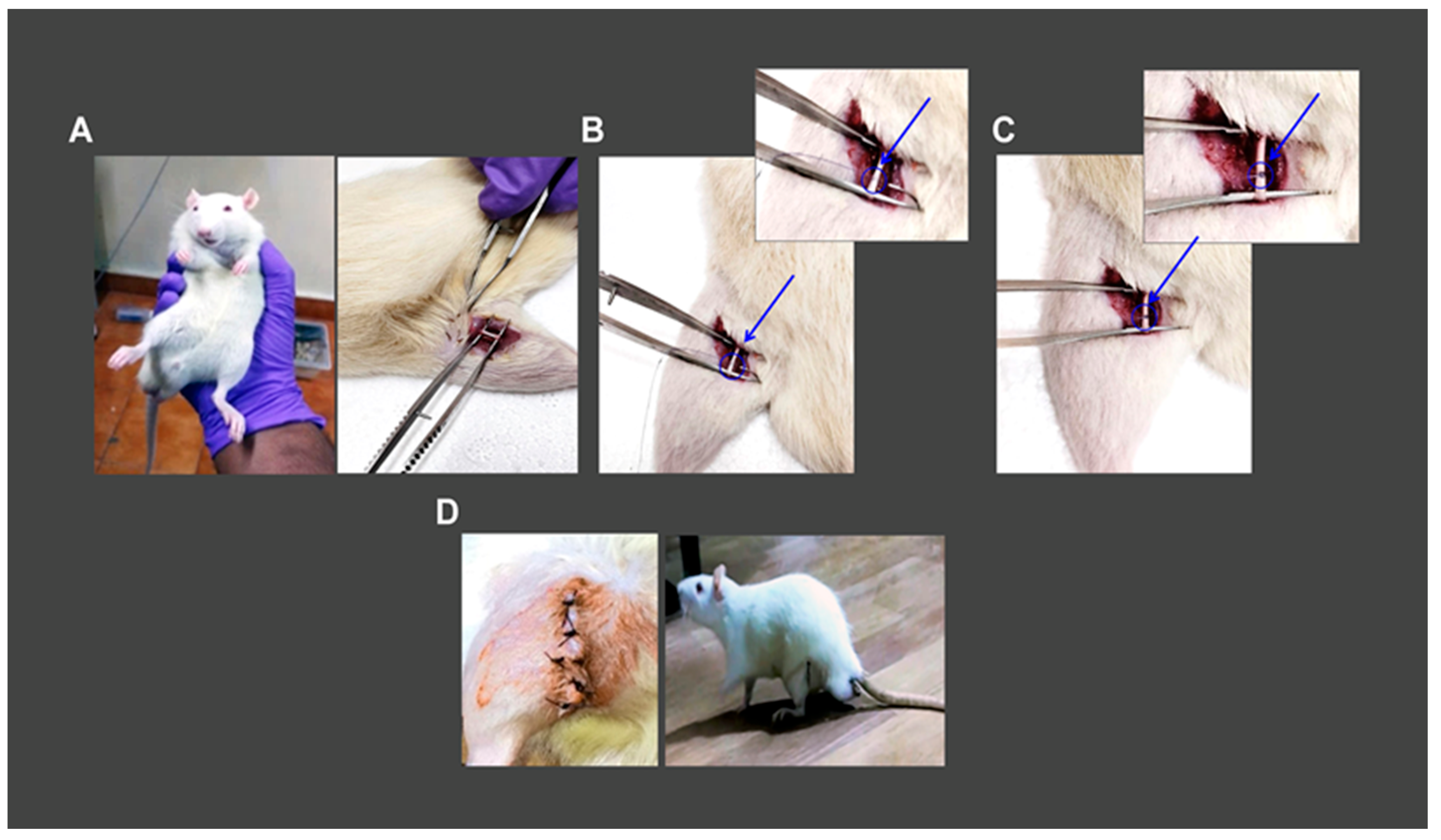 Brainsci 13 00754 g001