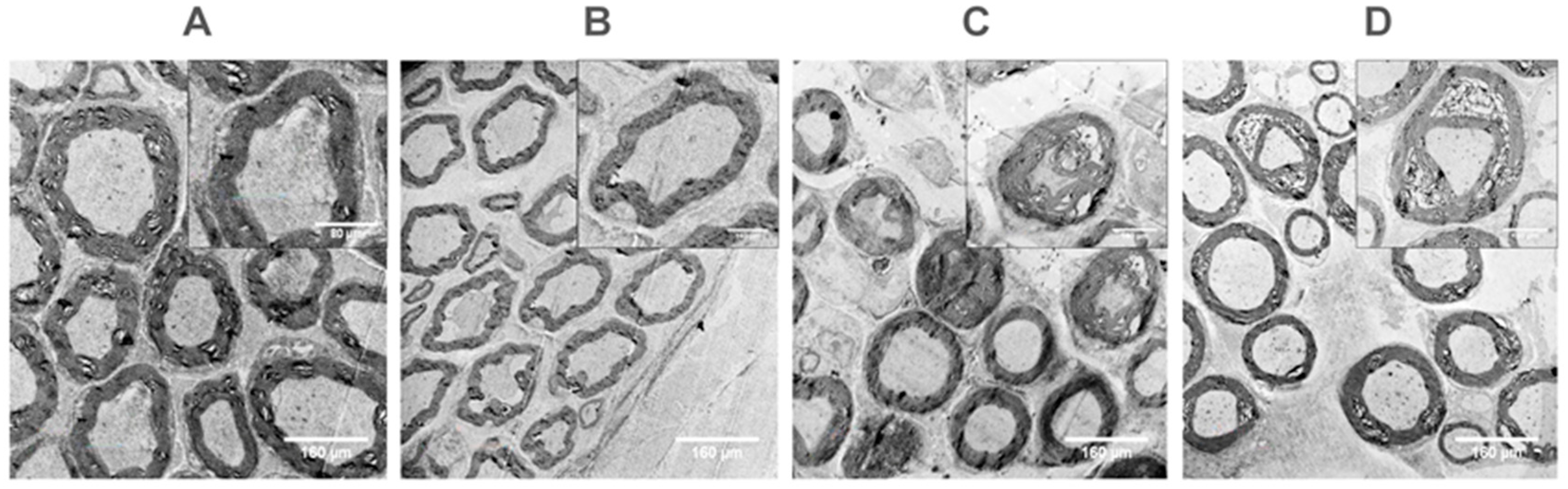 Brainsci 13 00754 g006