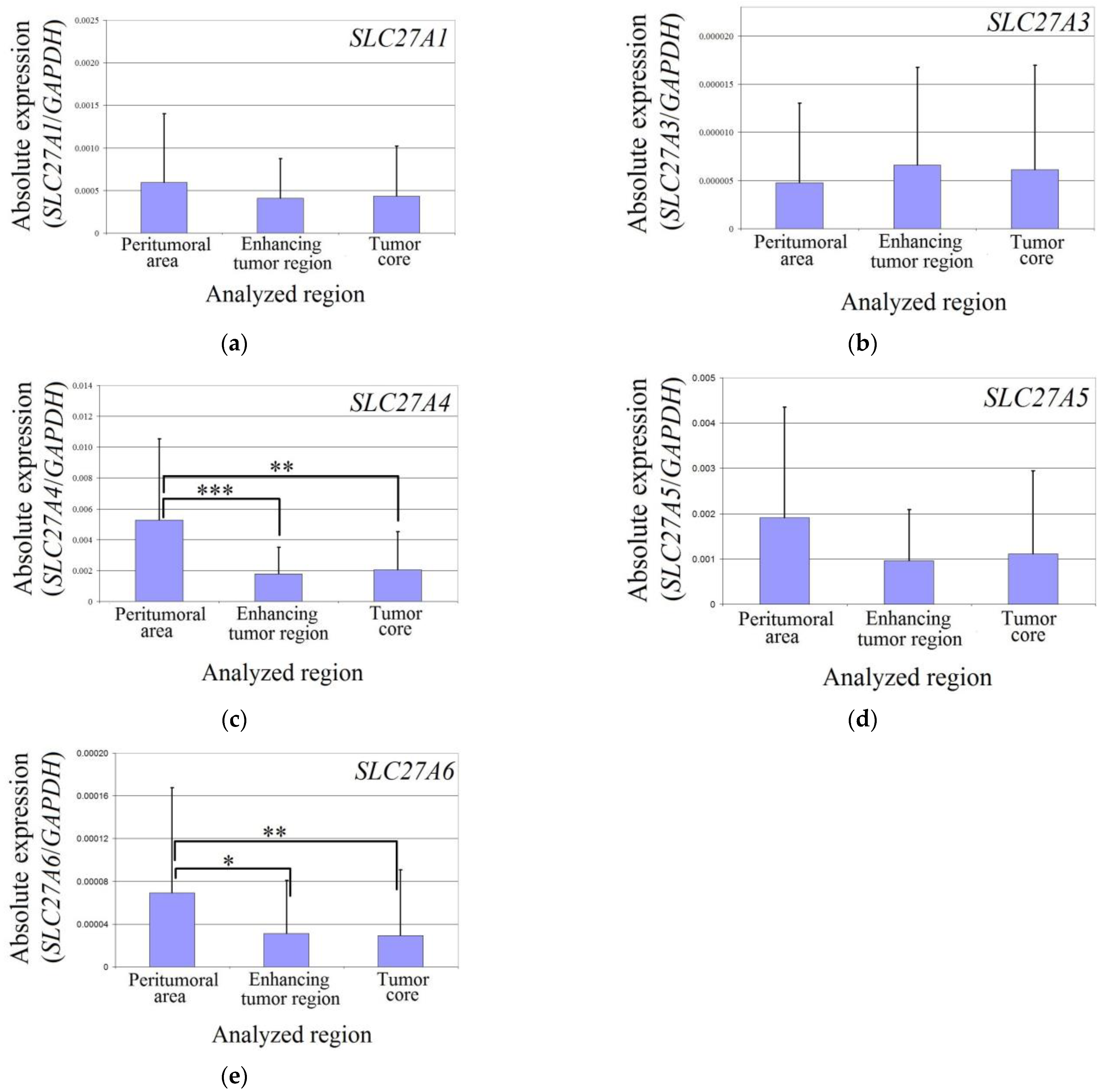 Brainsci 13 00771 g002