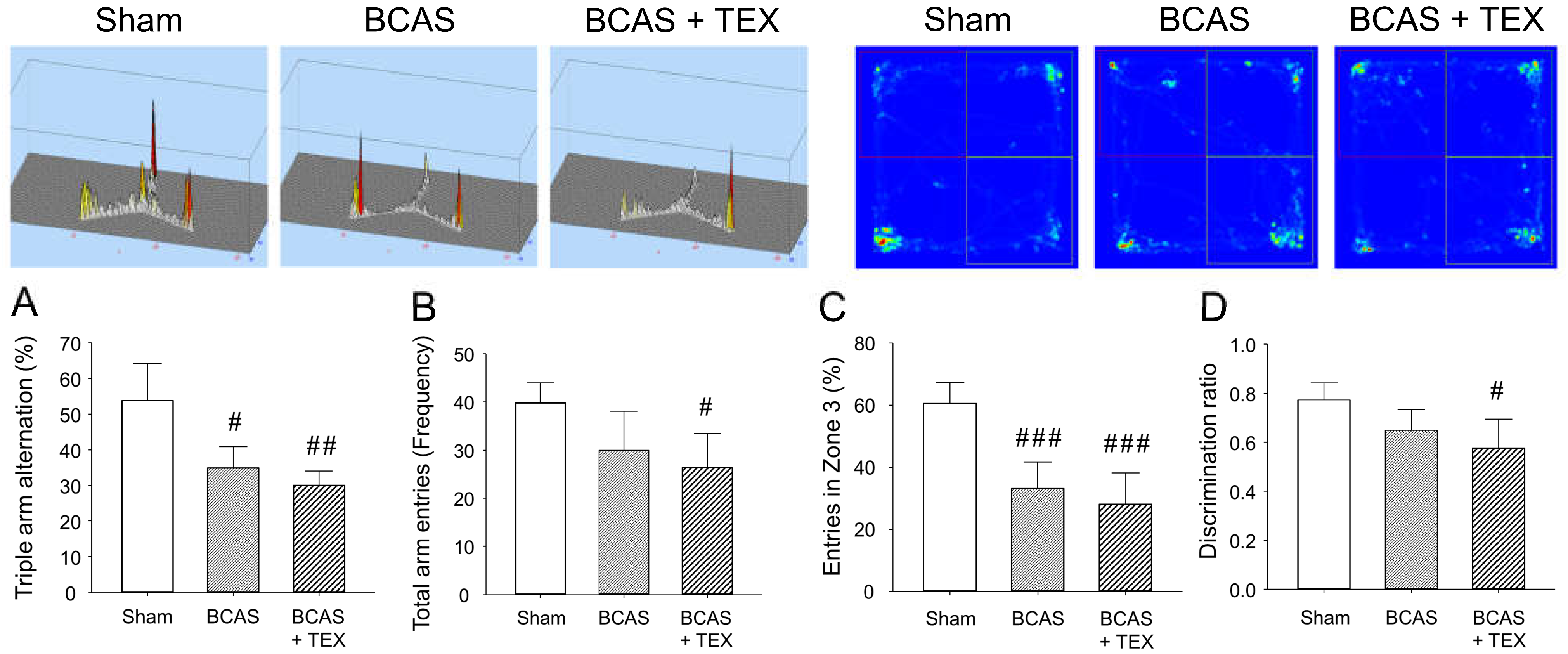 Brainsci 13 00781 g004