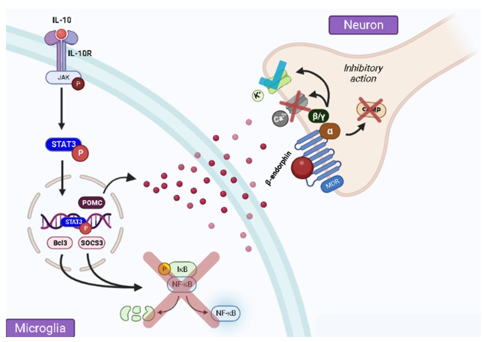Brainsci 13 00789 g001