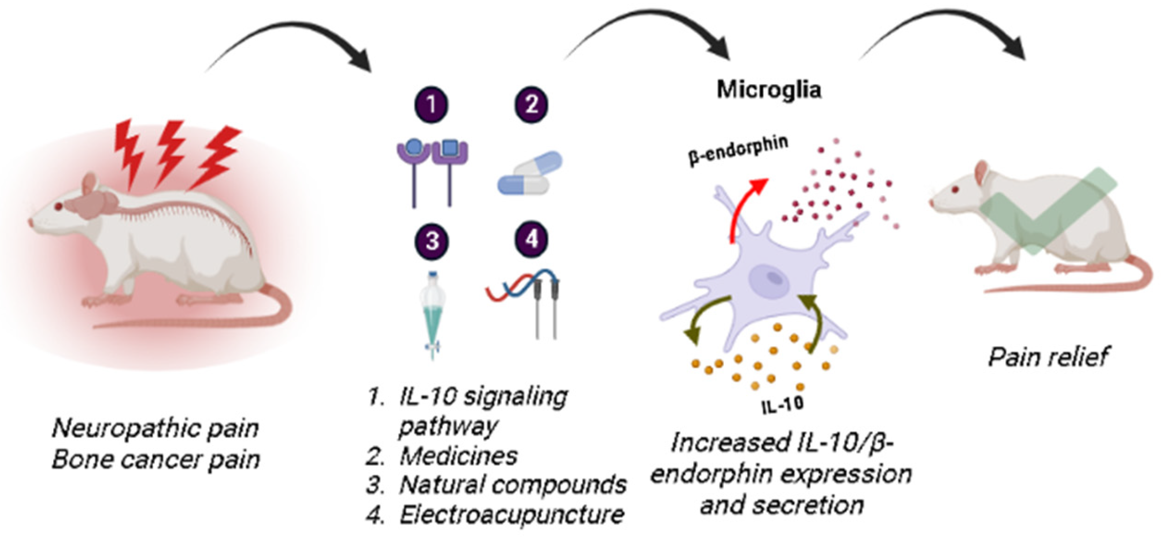 Brainsci 13 00789 g002