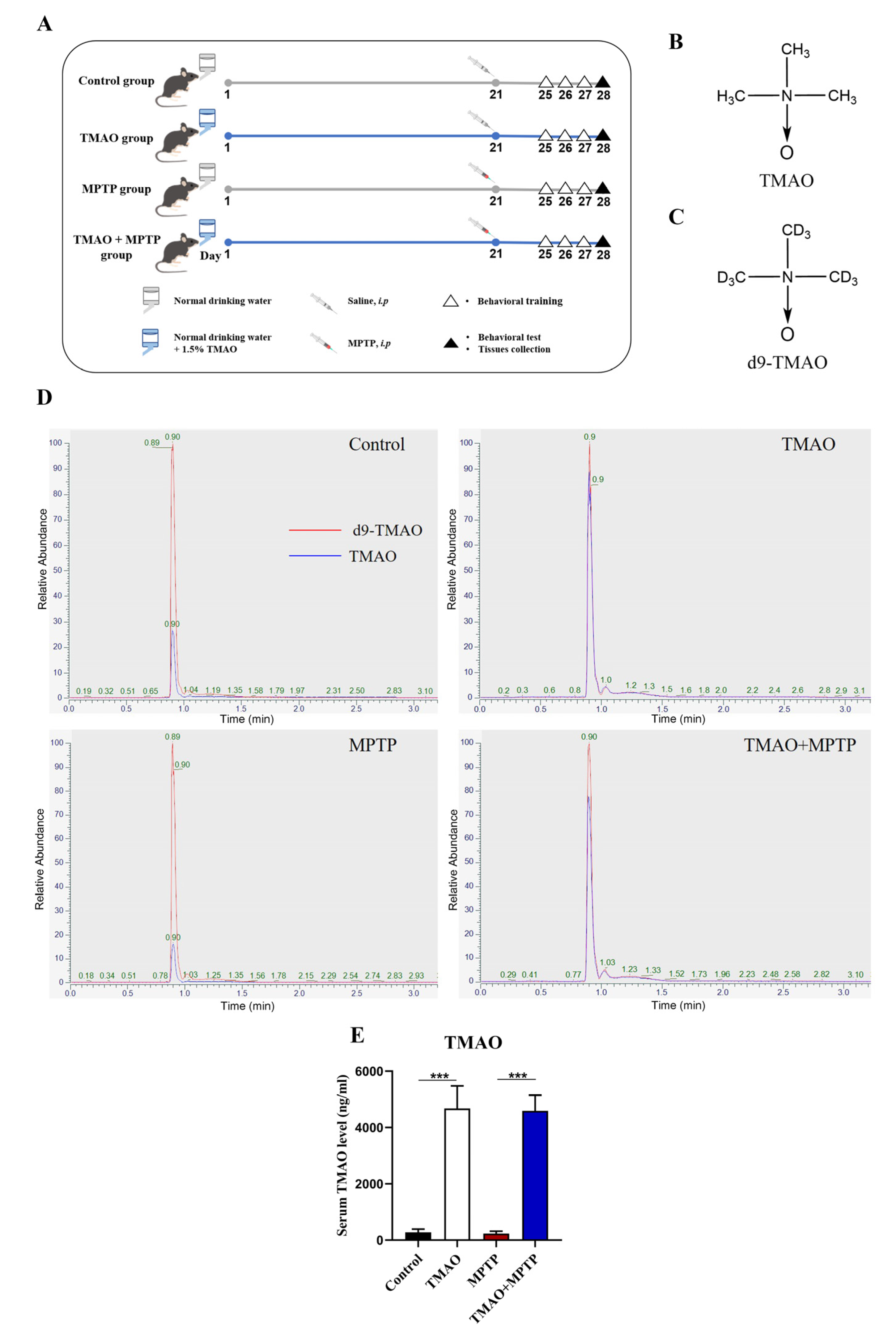 Brainsci 13 00790 g001