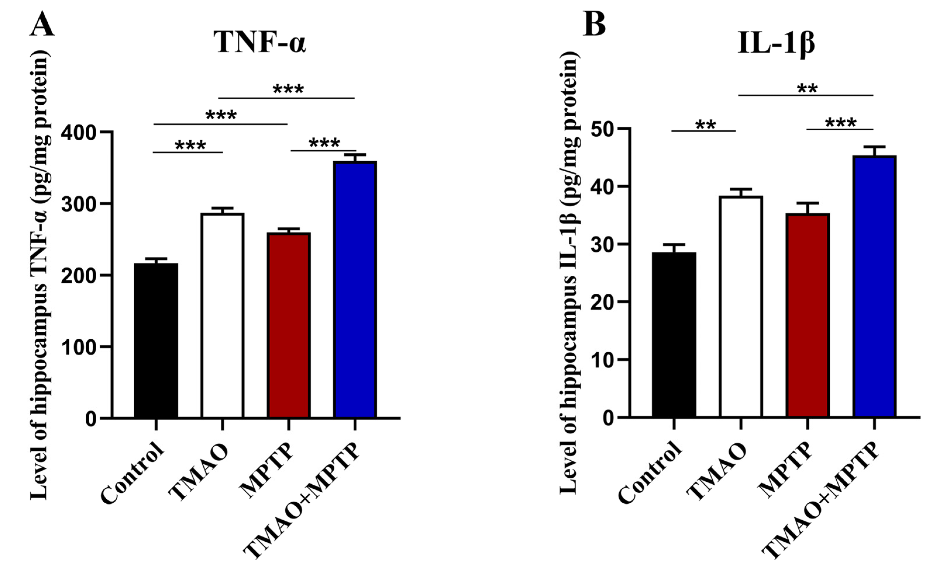 Brainsci 13 00790 g006