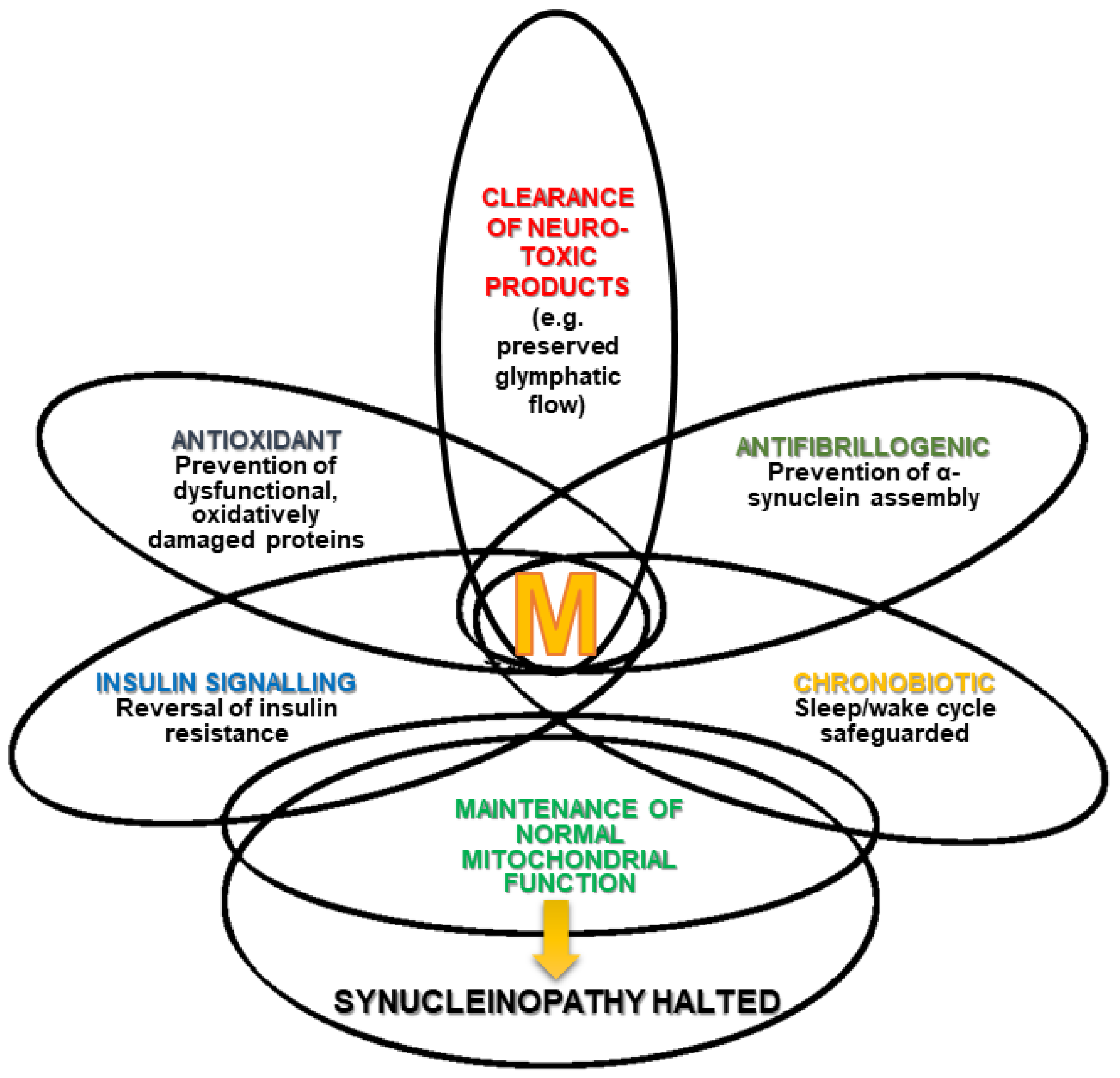 Brainsci 13 00797 g001