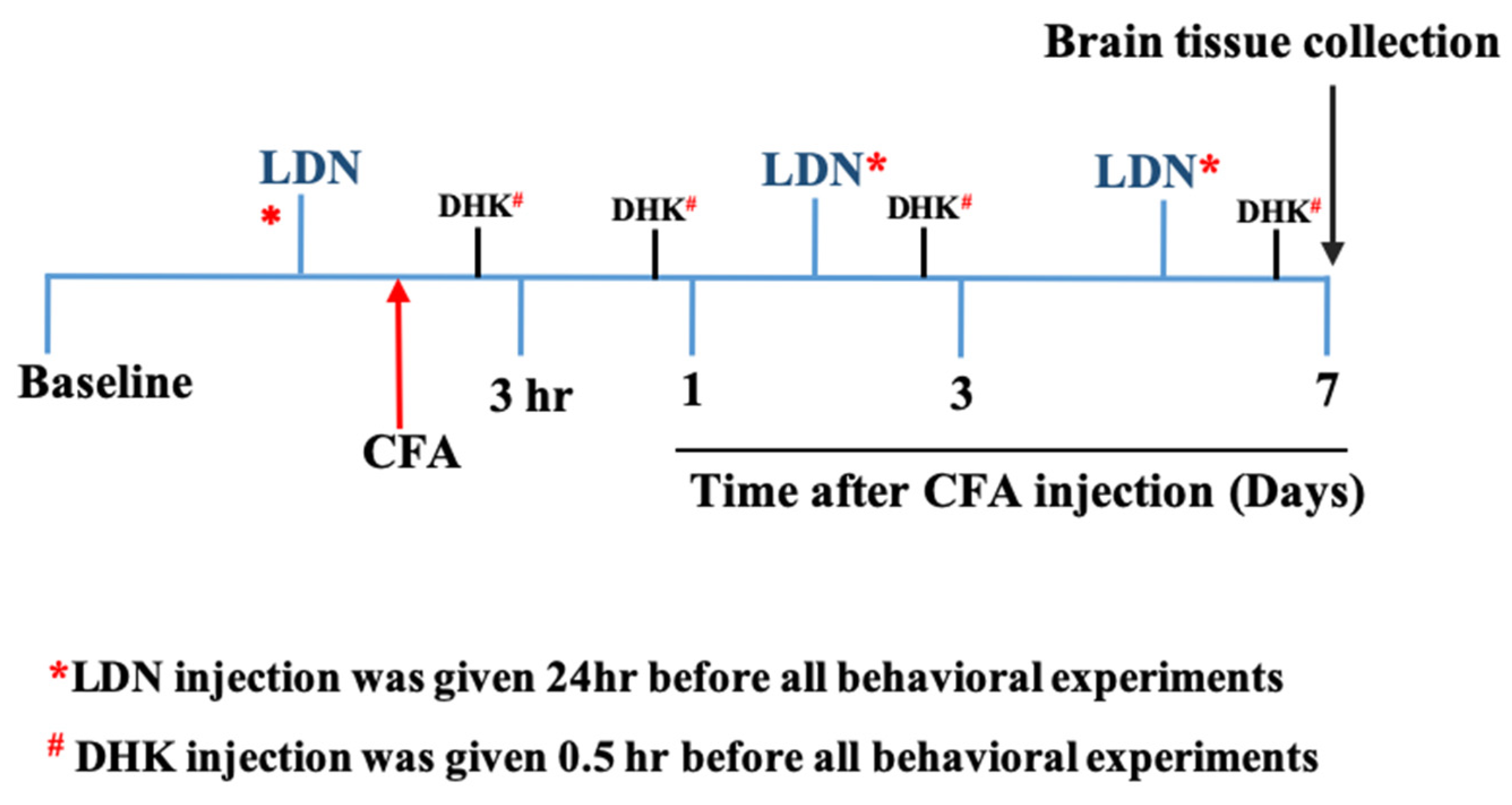 Brainsci 13 00807 g001