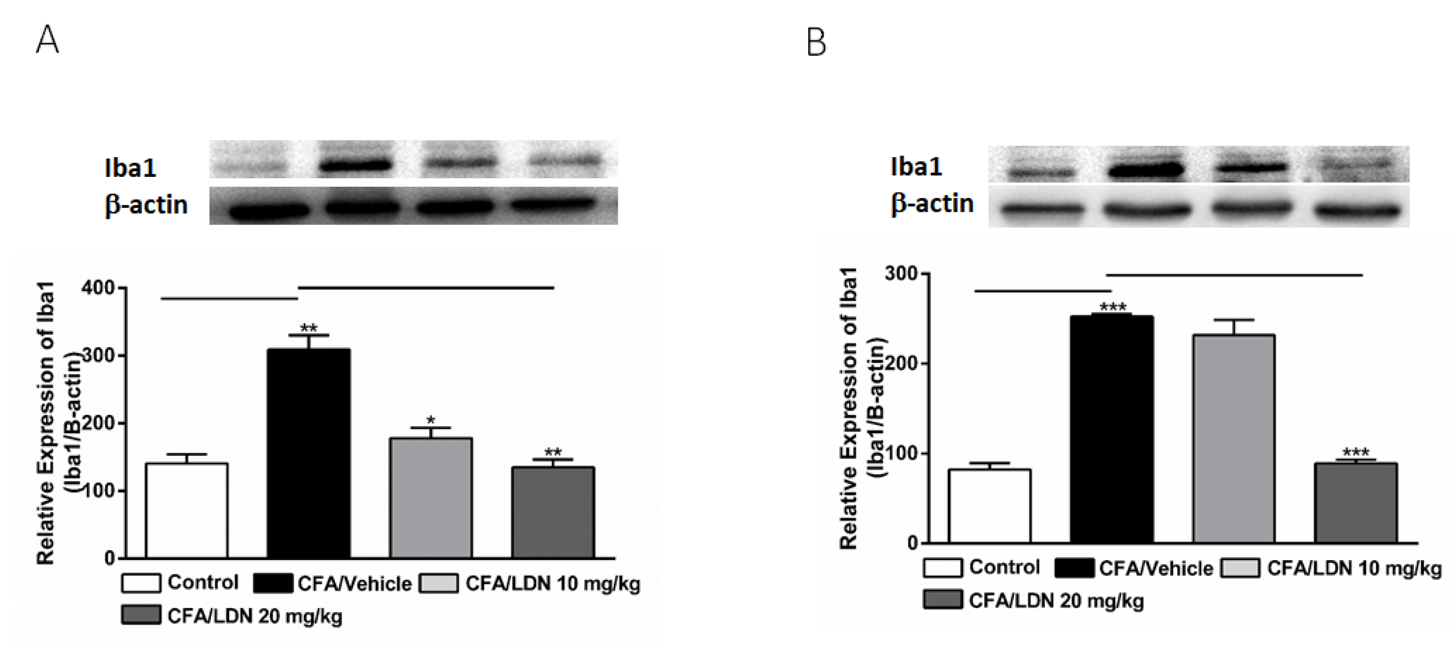 Brainsci 13 00807 g004