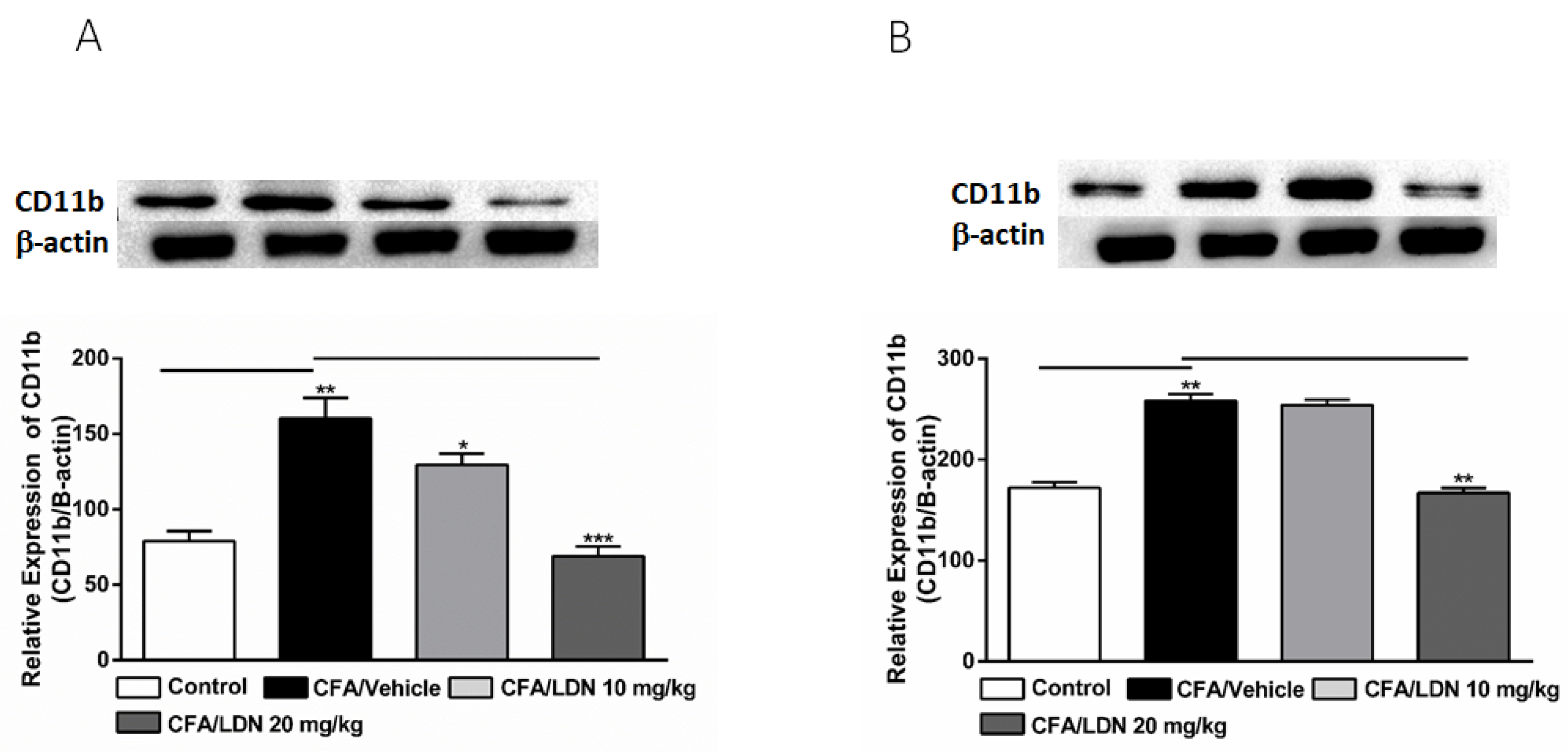 Brainsci 13 00807 g005