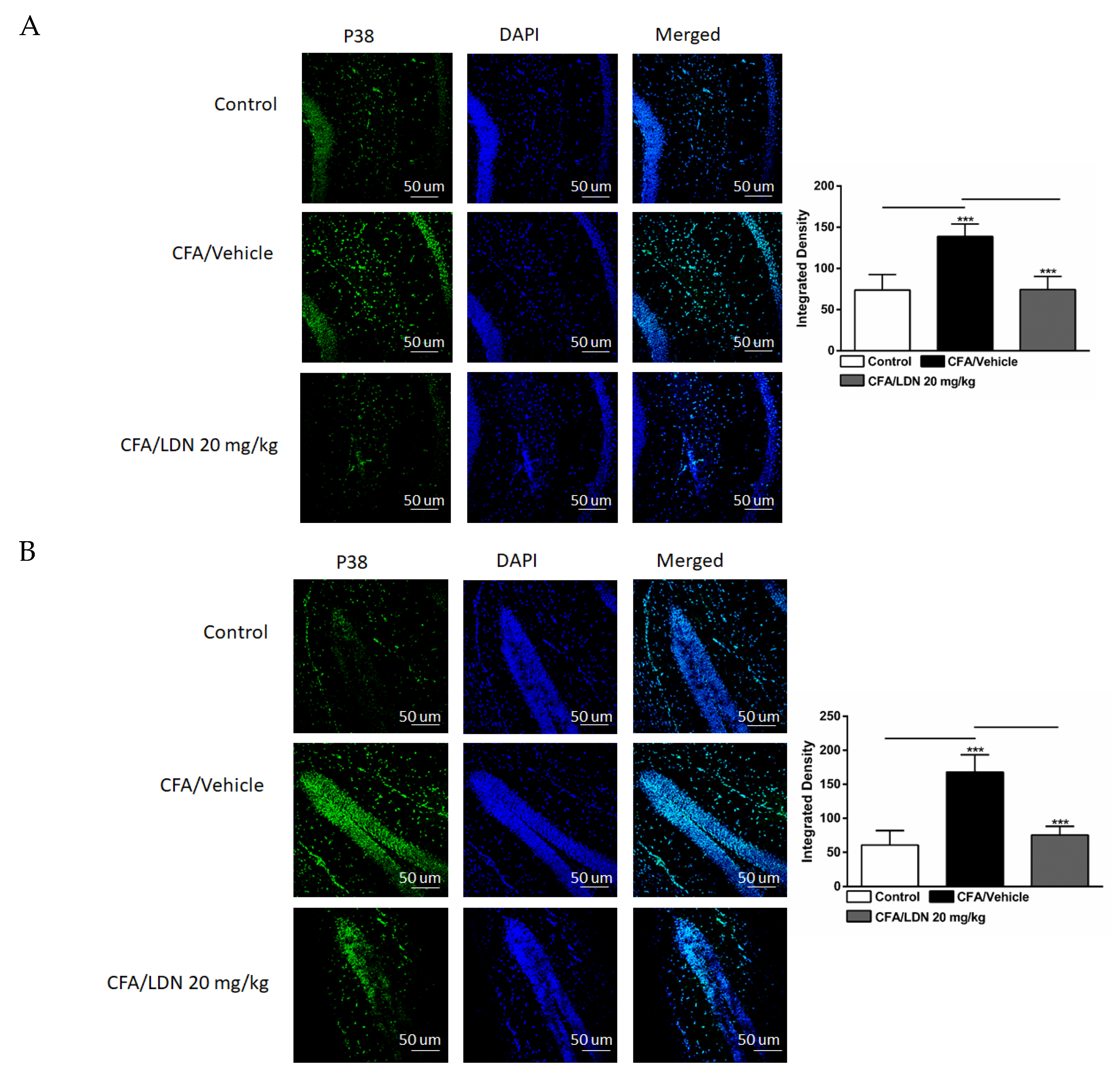 Brainsci 13 00807 g006a