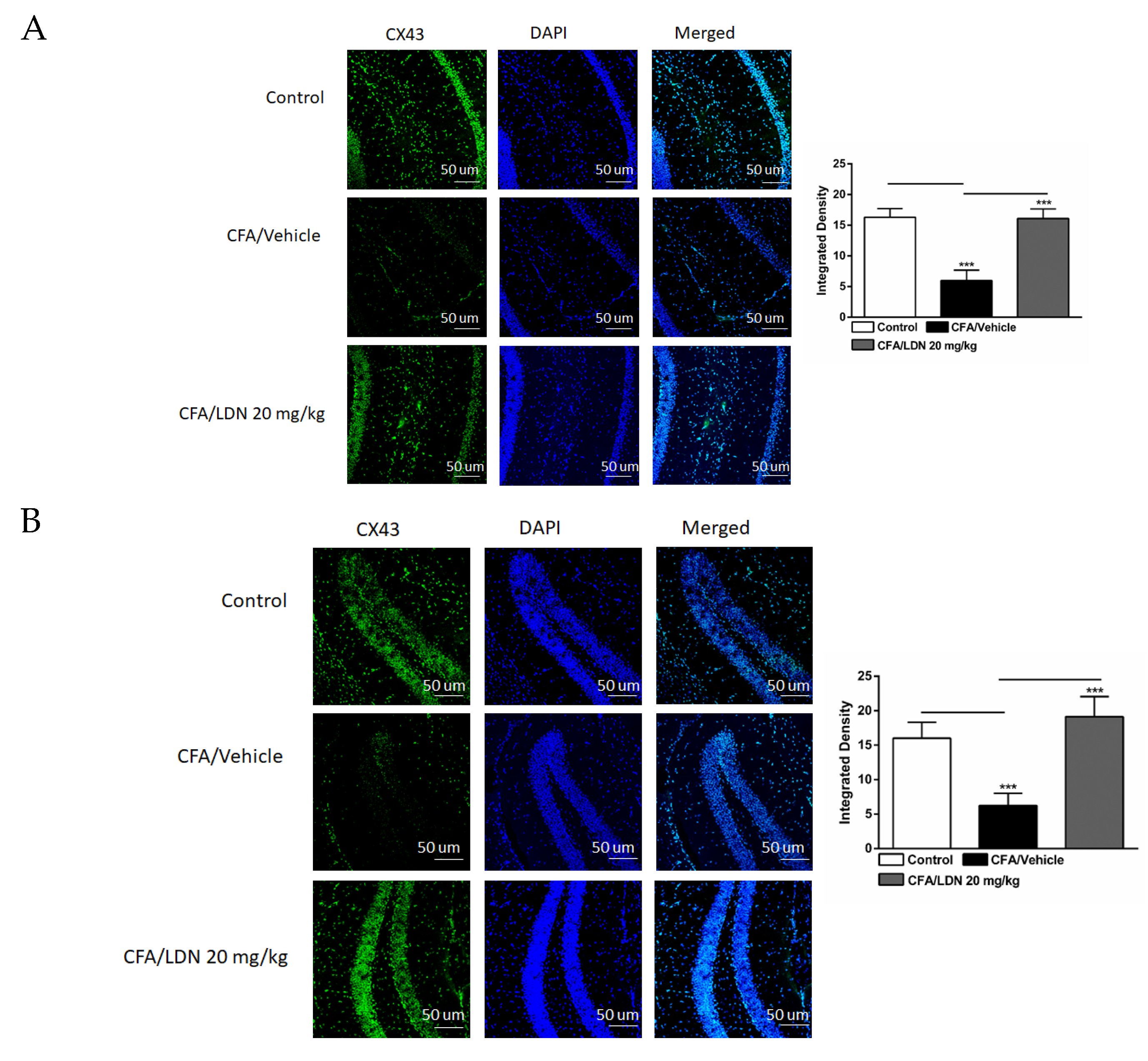 Brainsci 13 00807 g008a
