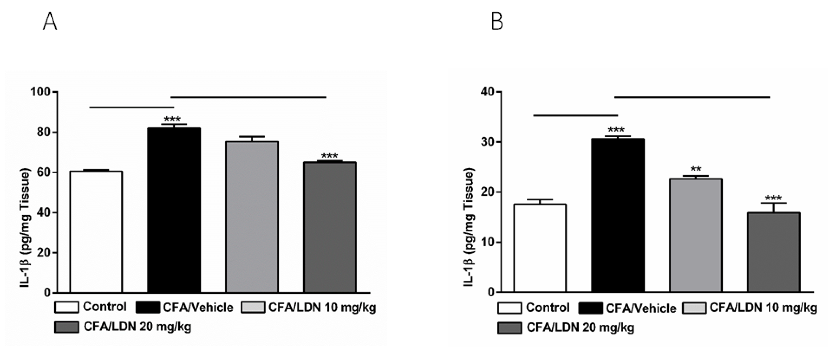 Brainsci 13 00807 g009