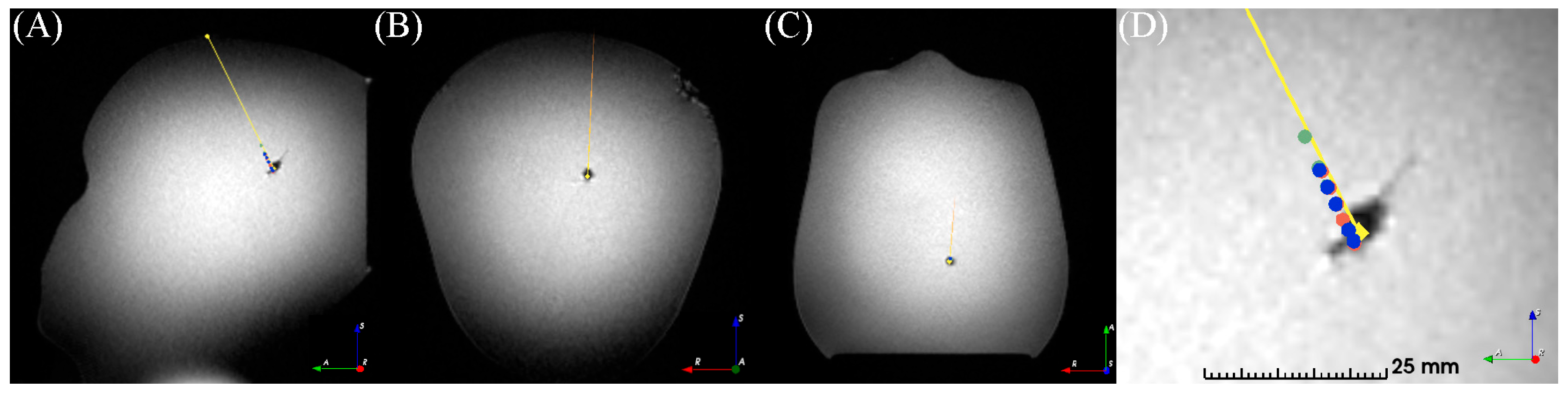 Brainsci 13 00809 g004