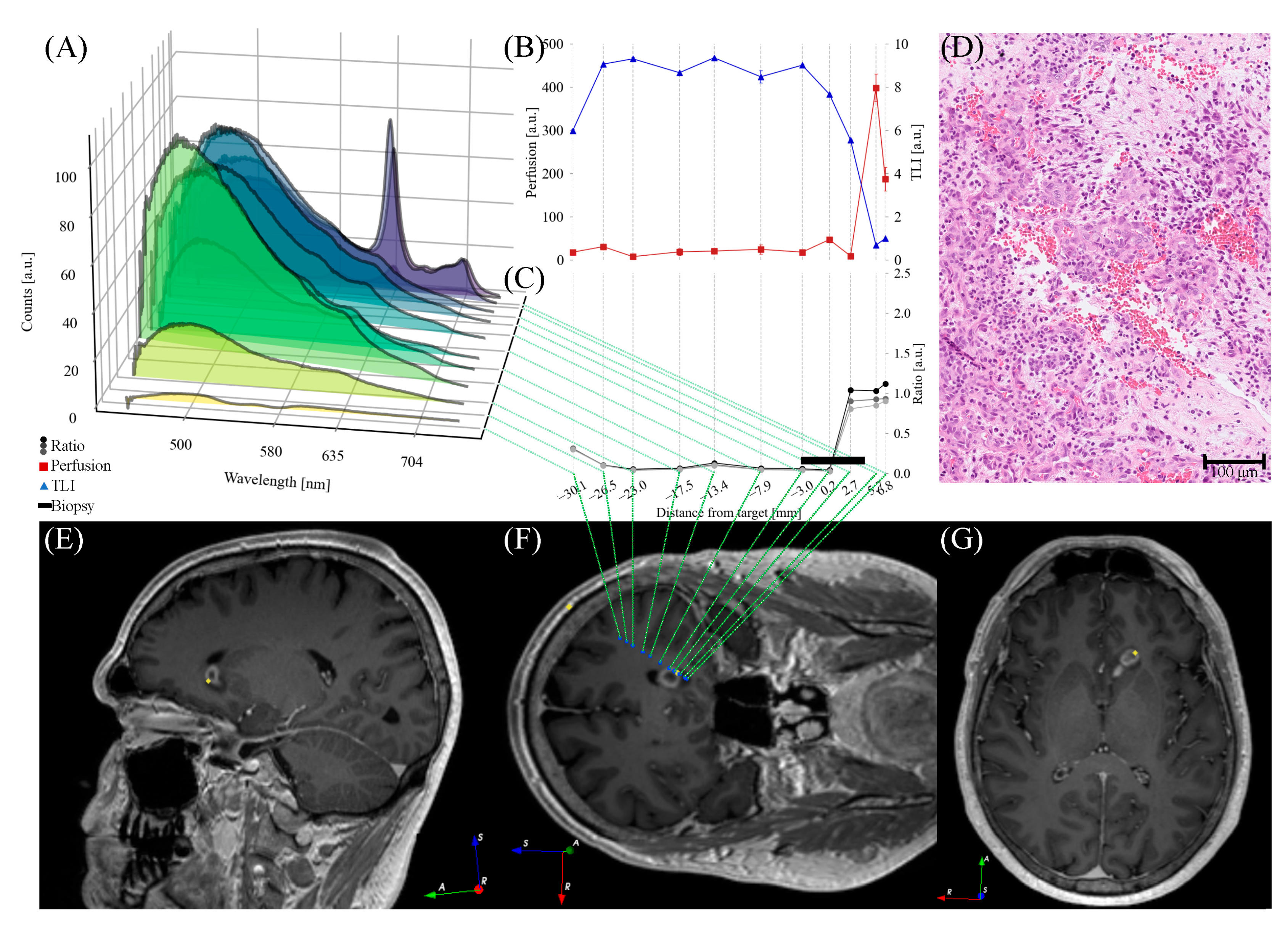 Brainsci 13 00809 g005