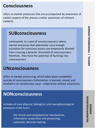 Brainsci 13 00814 g001