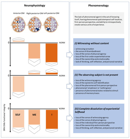 Brainsci 13 00814 g004
