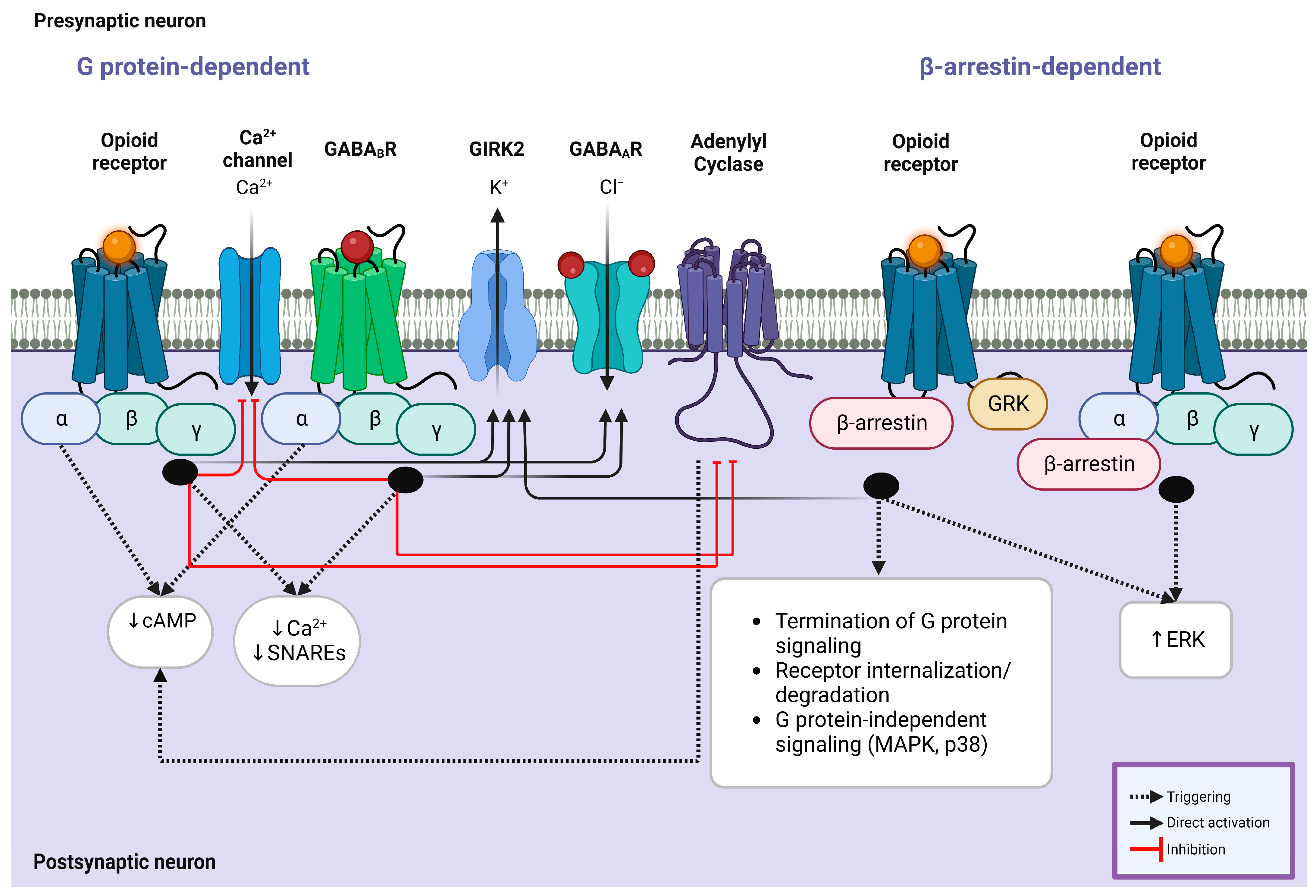 Brainsci 13 00815 g002