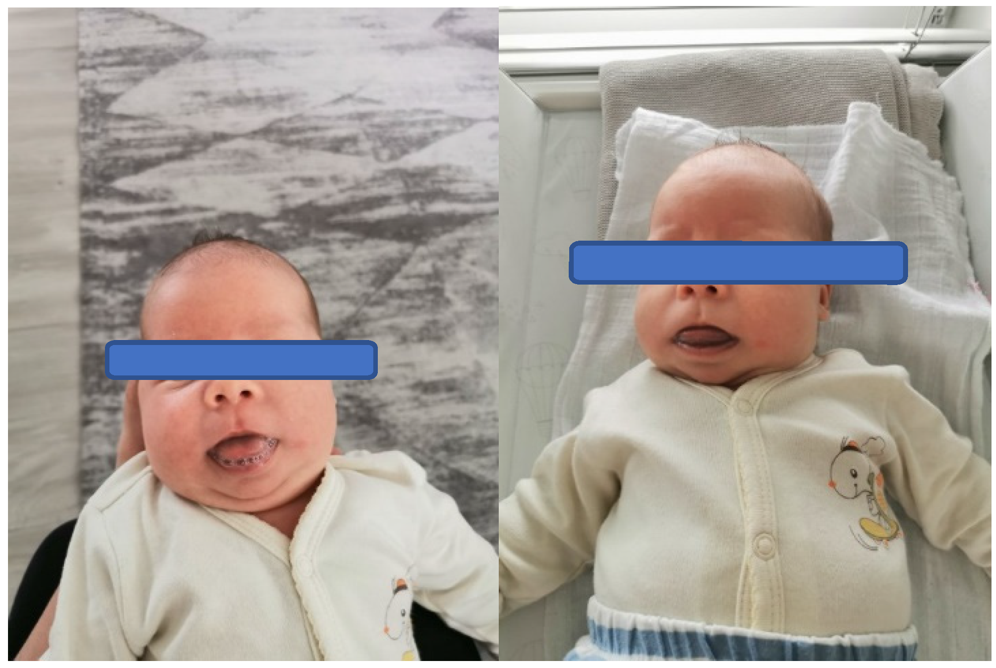 Brainsci 13 00829 g001