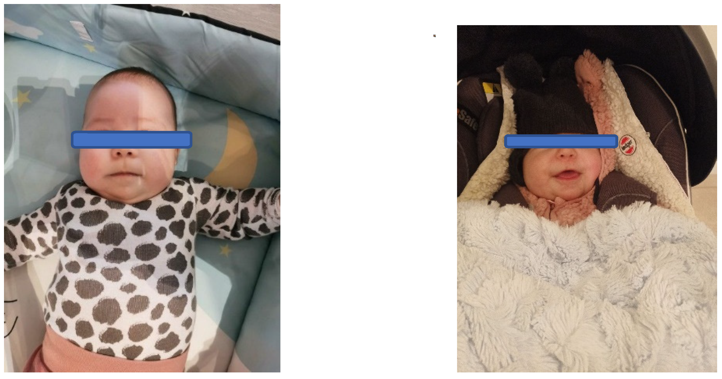 Brainsci 13 00829 g002