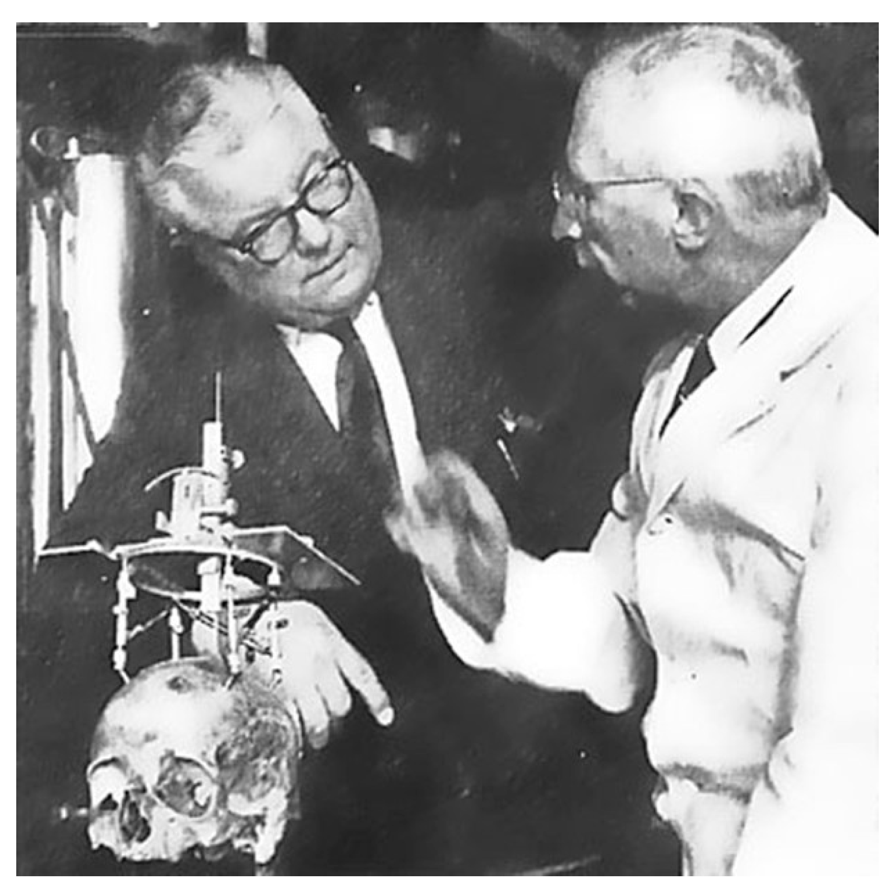 Brainsci 13 00830 g001