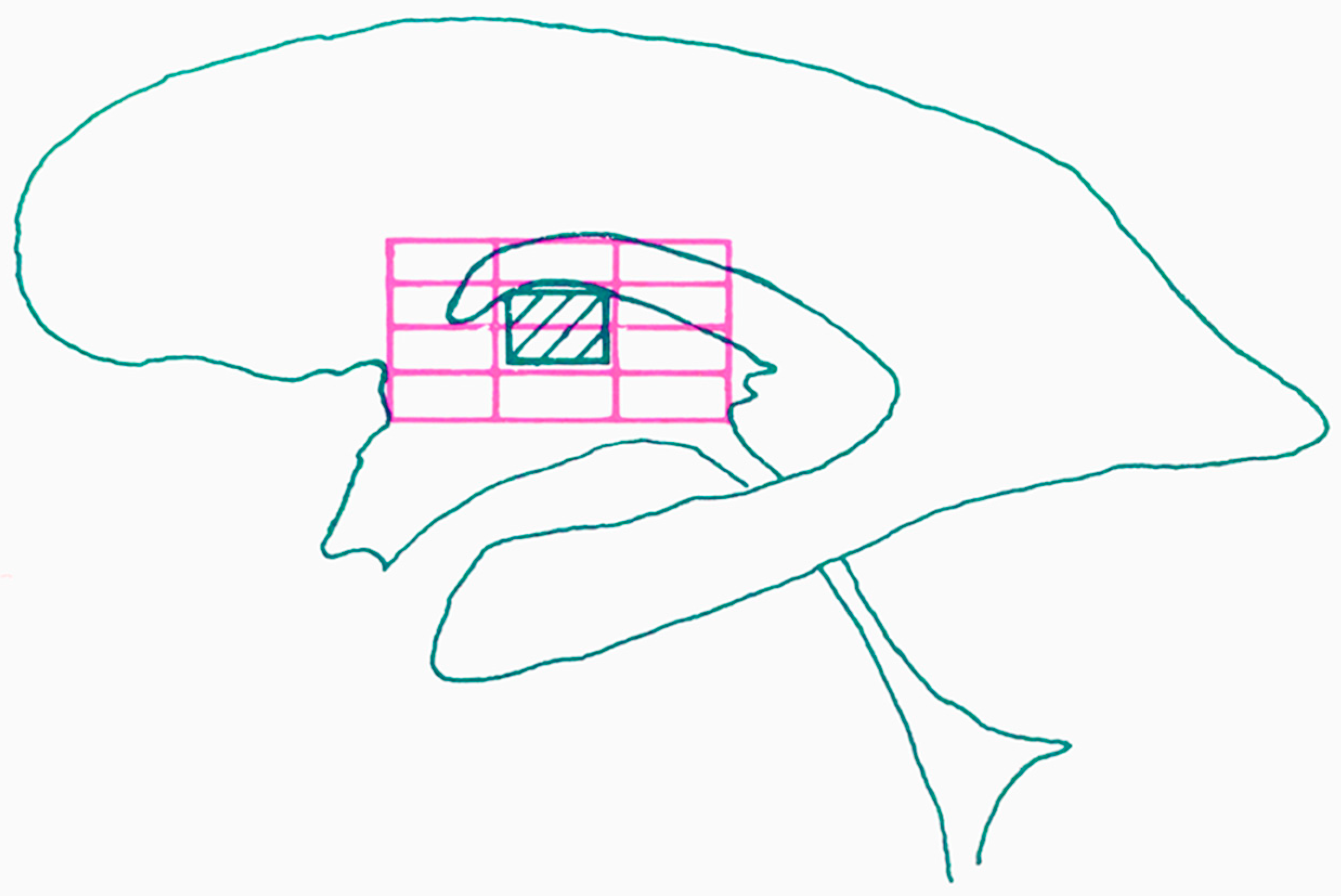 Brainsci 13 00830 g003