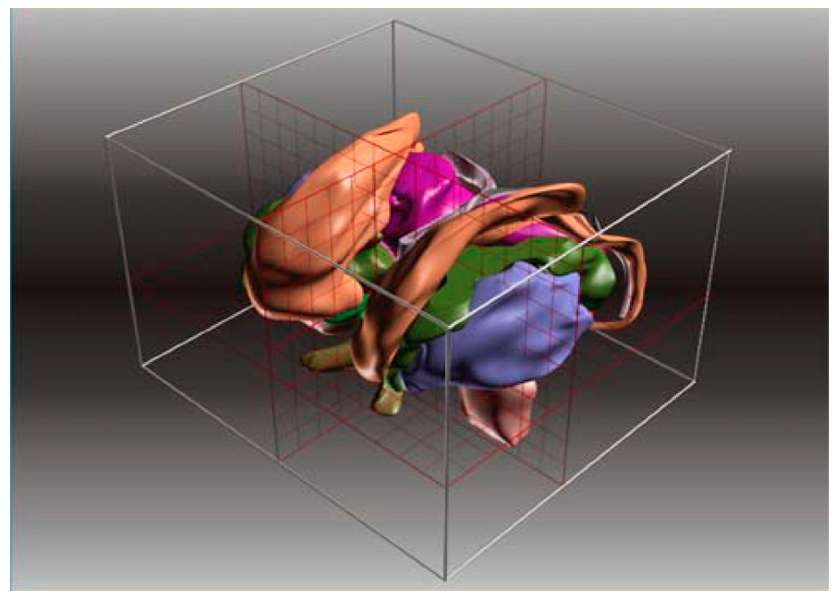 Brainsci 13 00830 g009