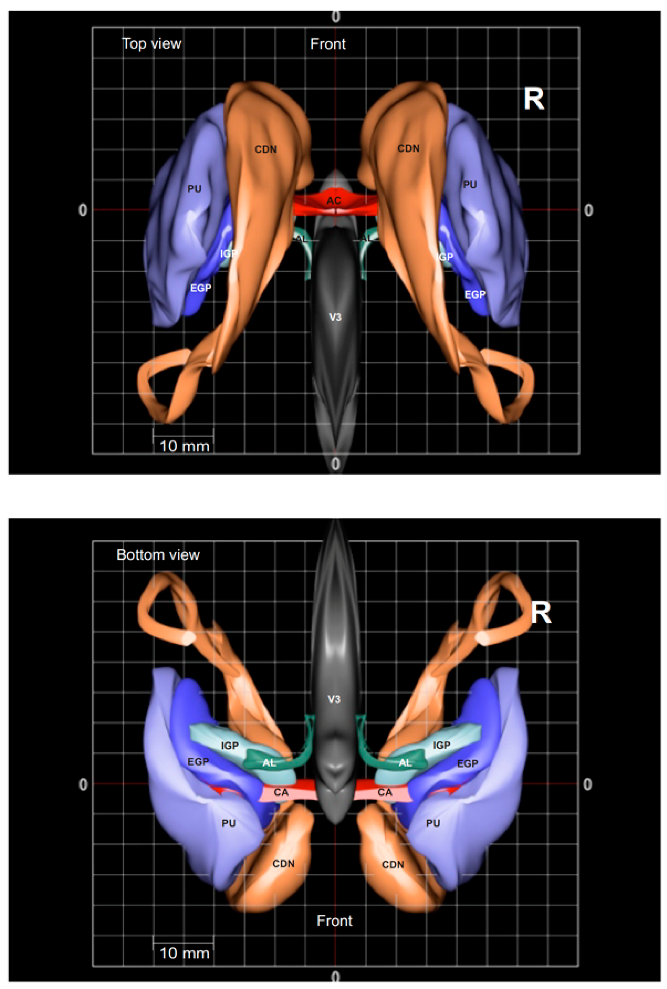 Brainsci 13 00830 g010