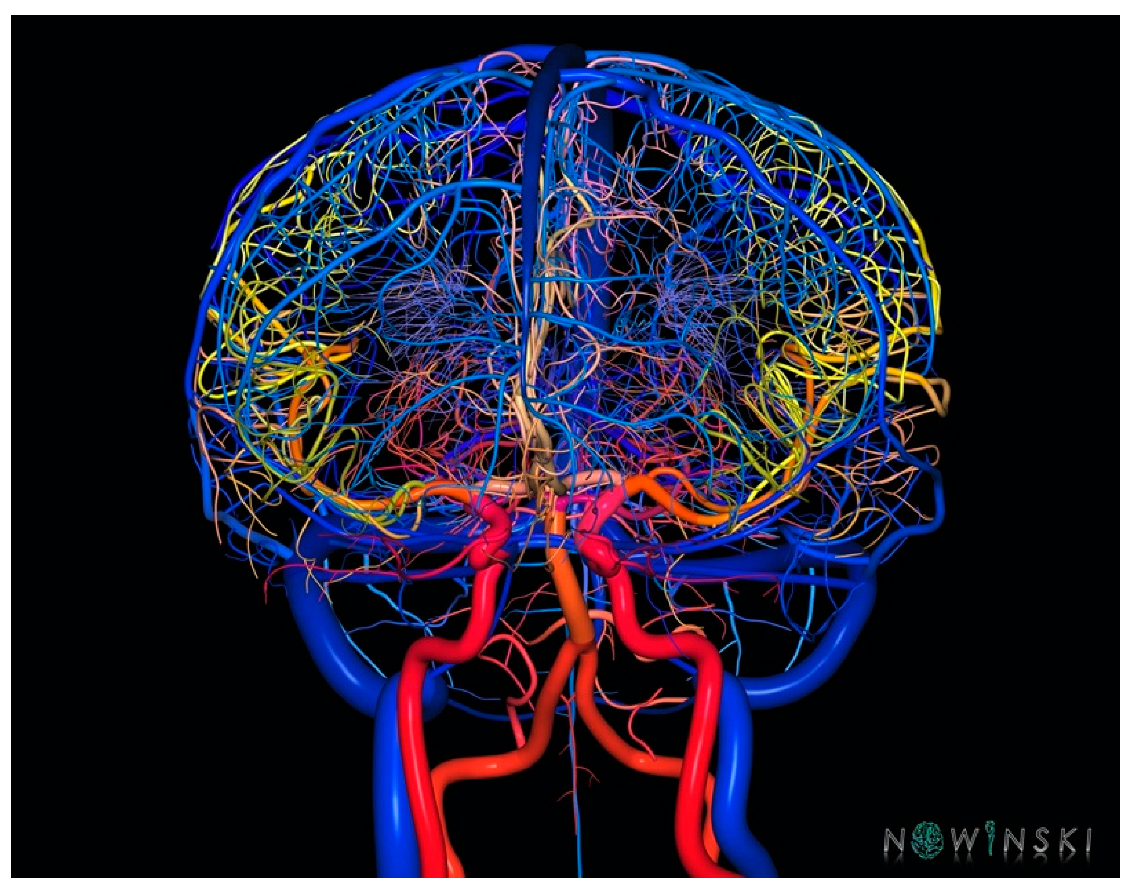 Brainsci 13 00830 g013