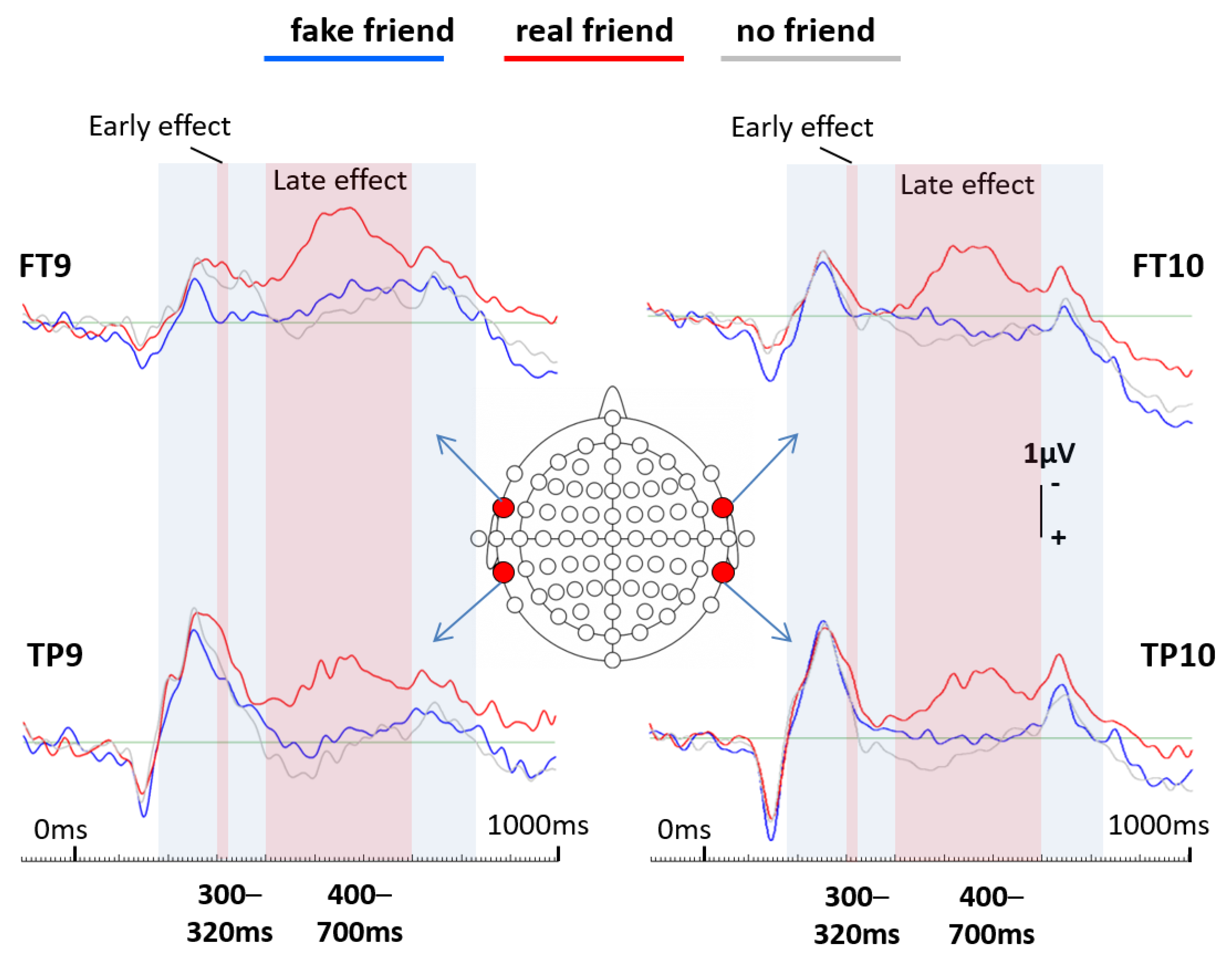 Brainsci 13 00831 g002