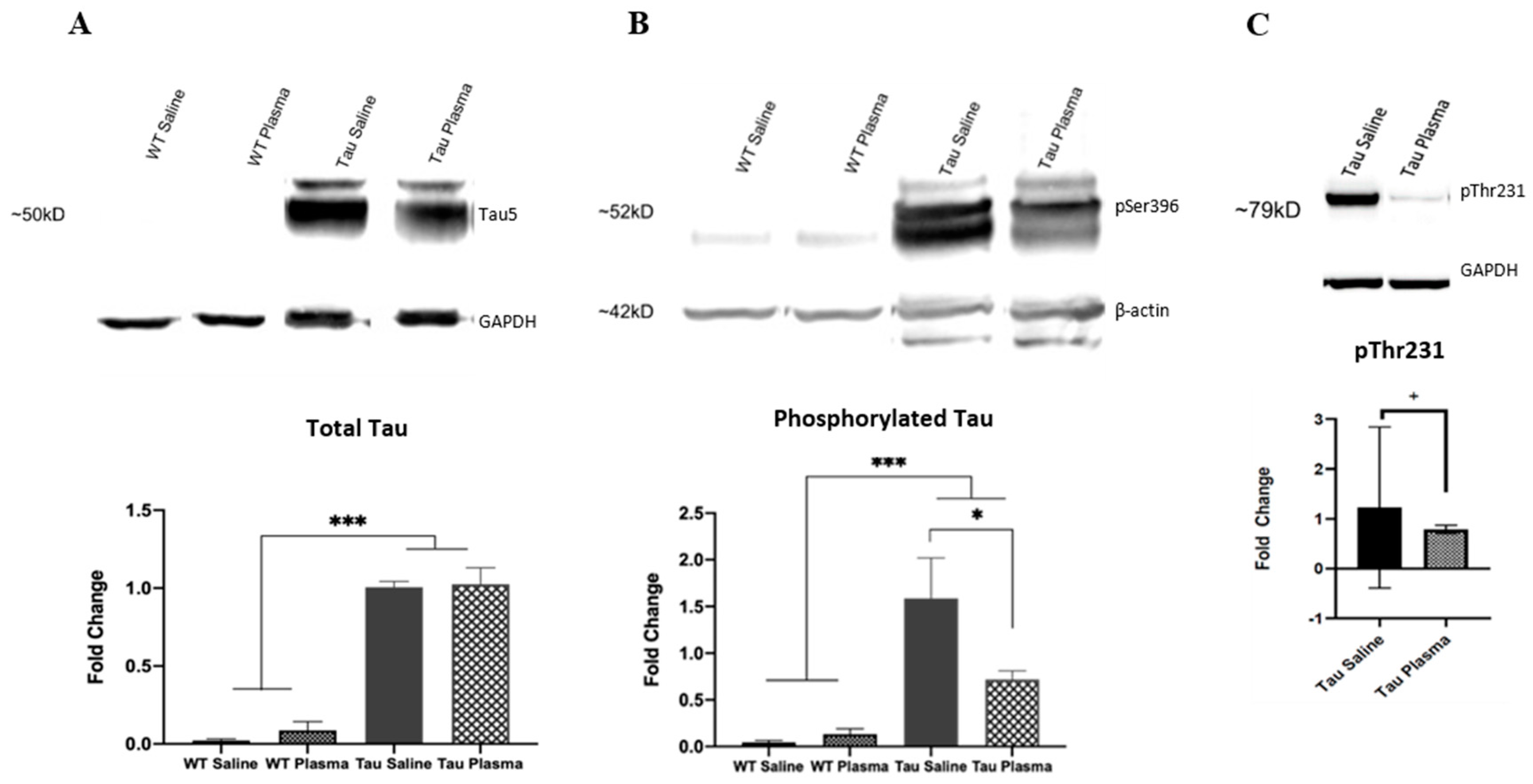 Brainsci 13 00841 g004