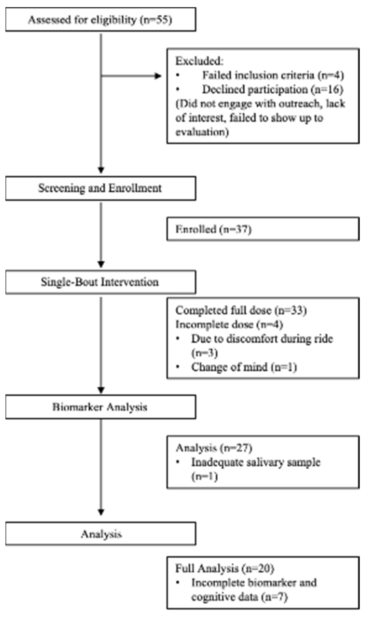 Brainsci 13 00844 g001 Brainsci 13 00844 g001