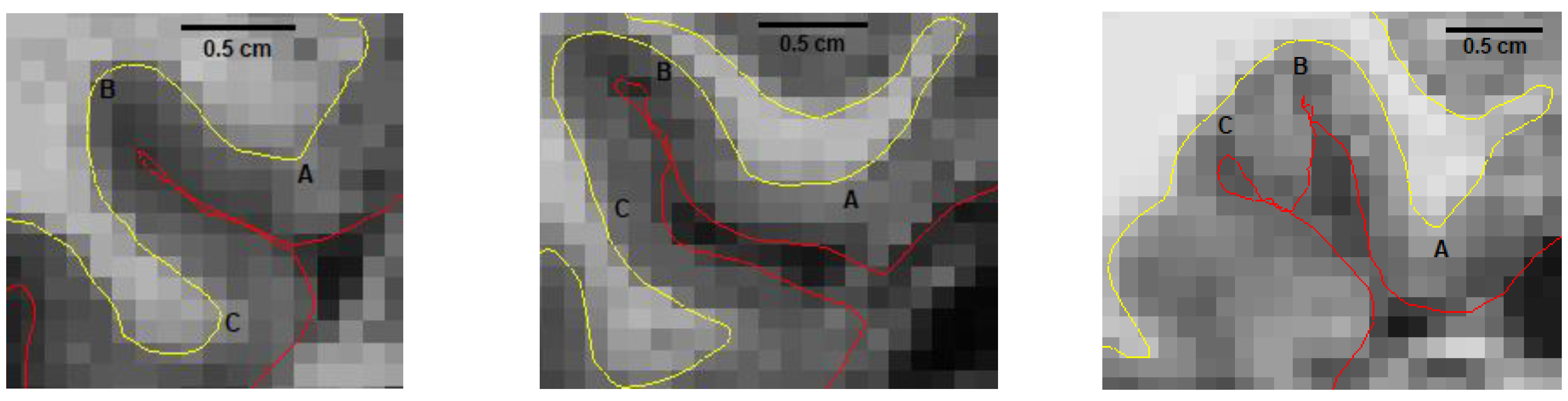Brainsci 13 00850 g001
