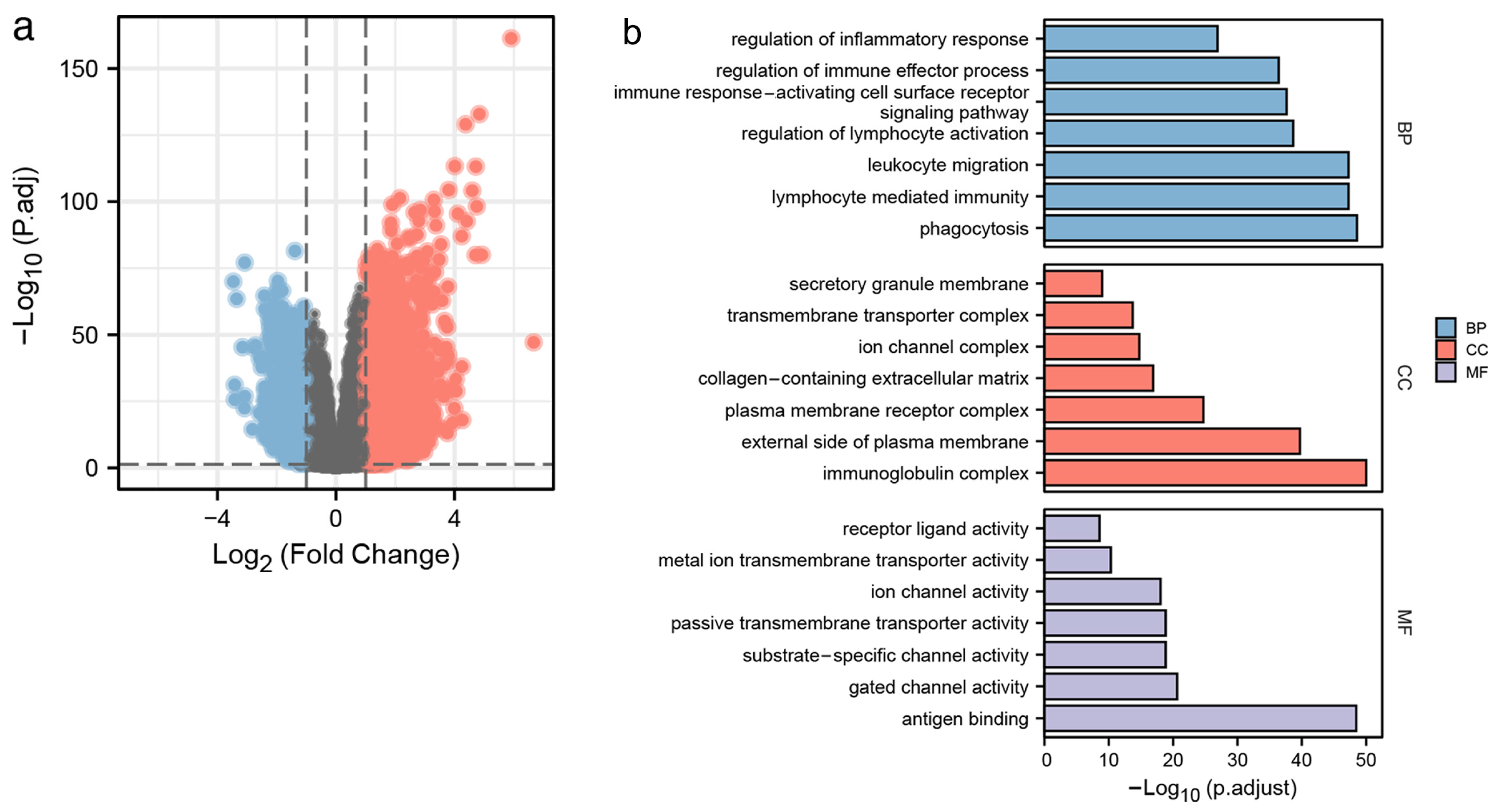Brainsci 13 00851 g002a