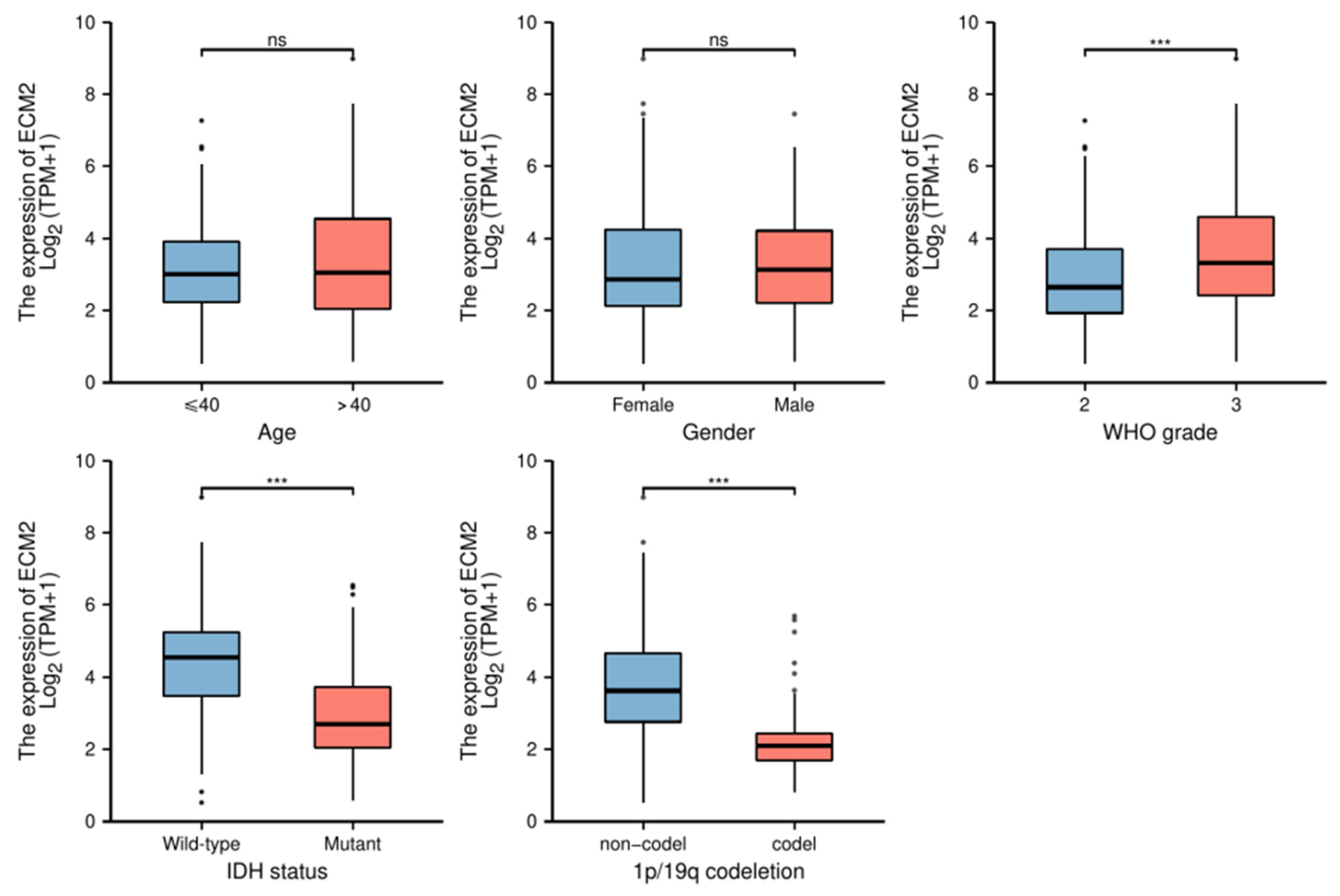Brainsci 13 00851 g006