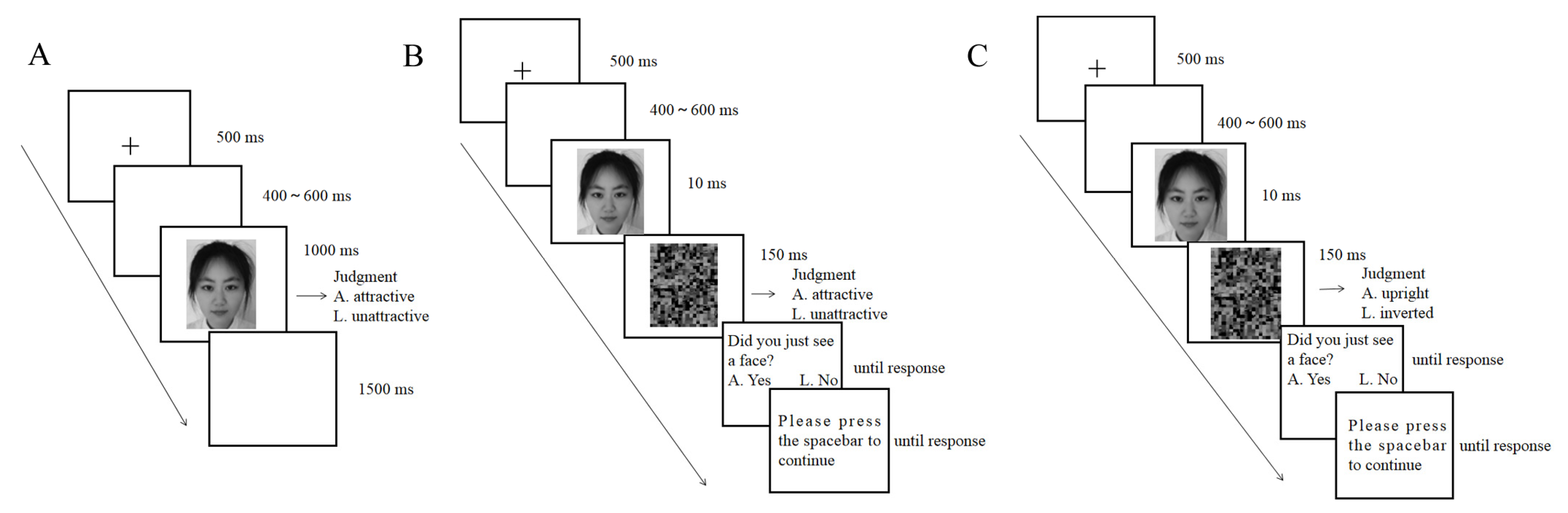Brainsci 13 00855 g001 Brainsci 13 00855 g001