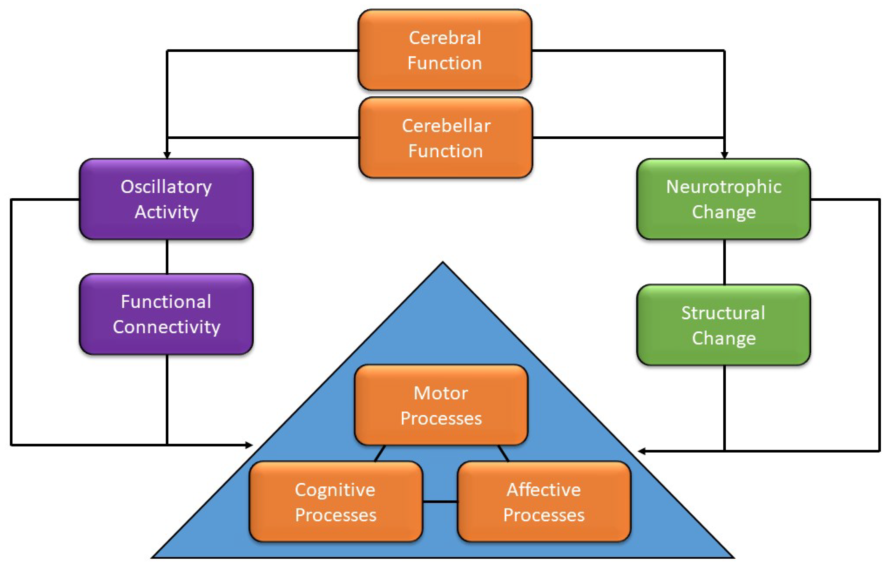 Brainsci 13 00857 g004