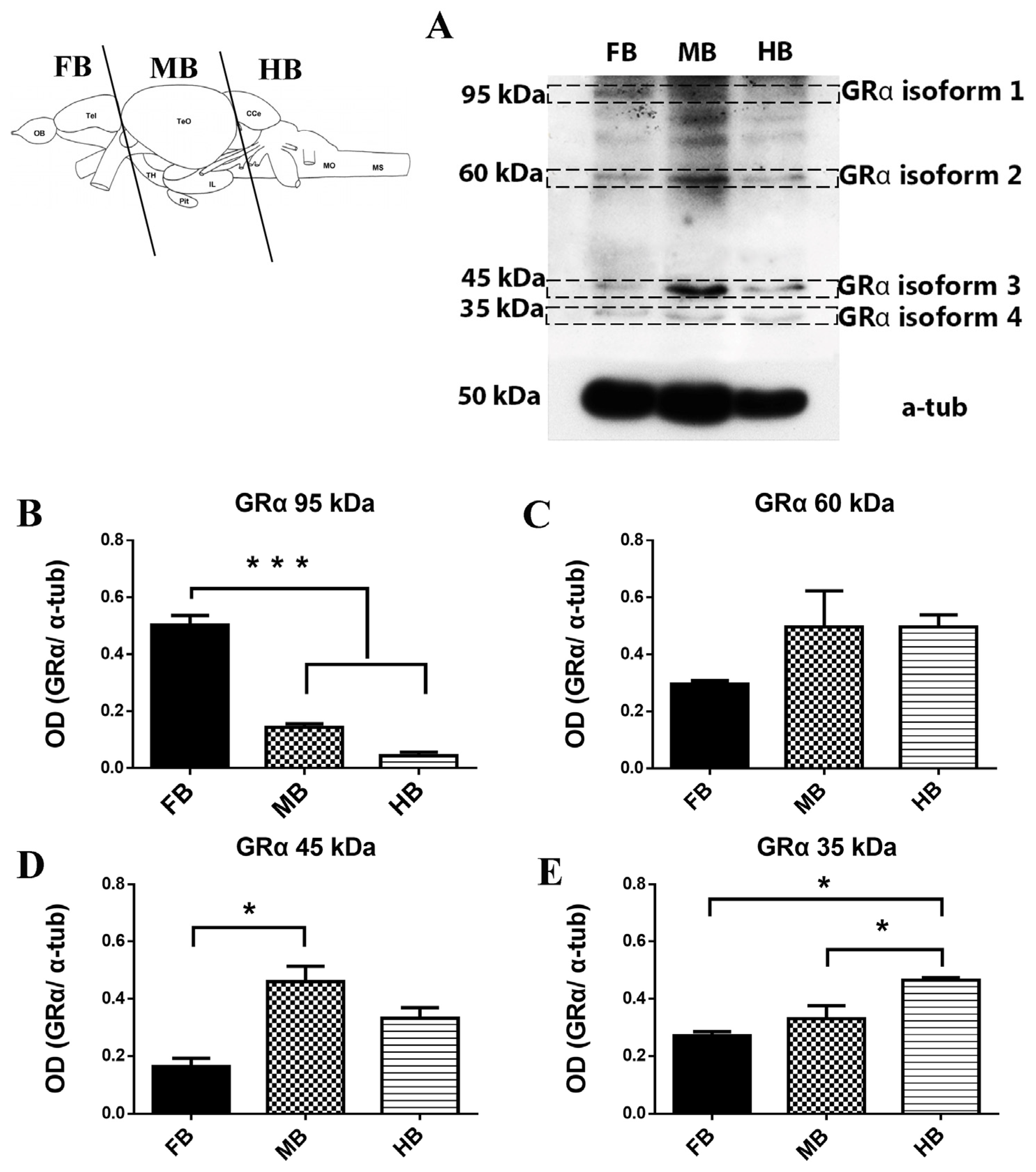 Brainsci 13 00861 g001
