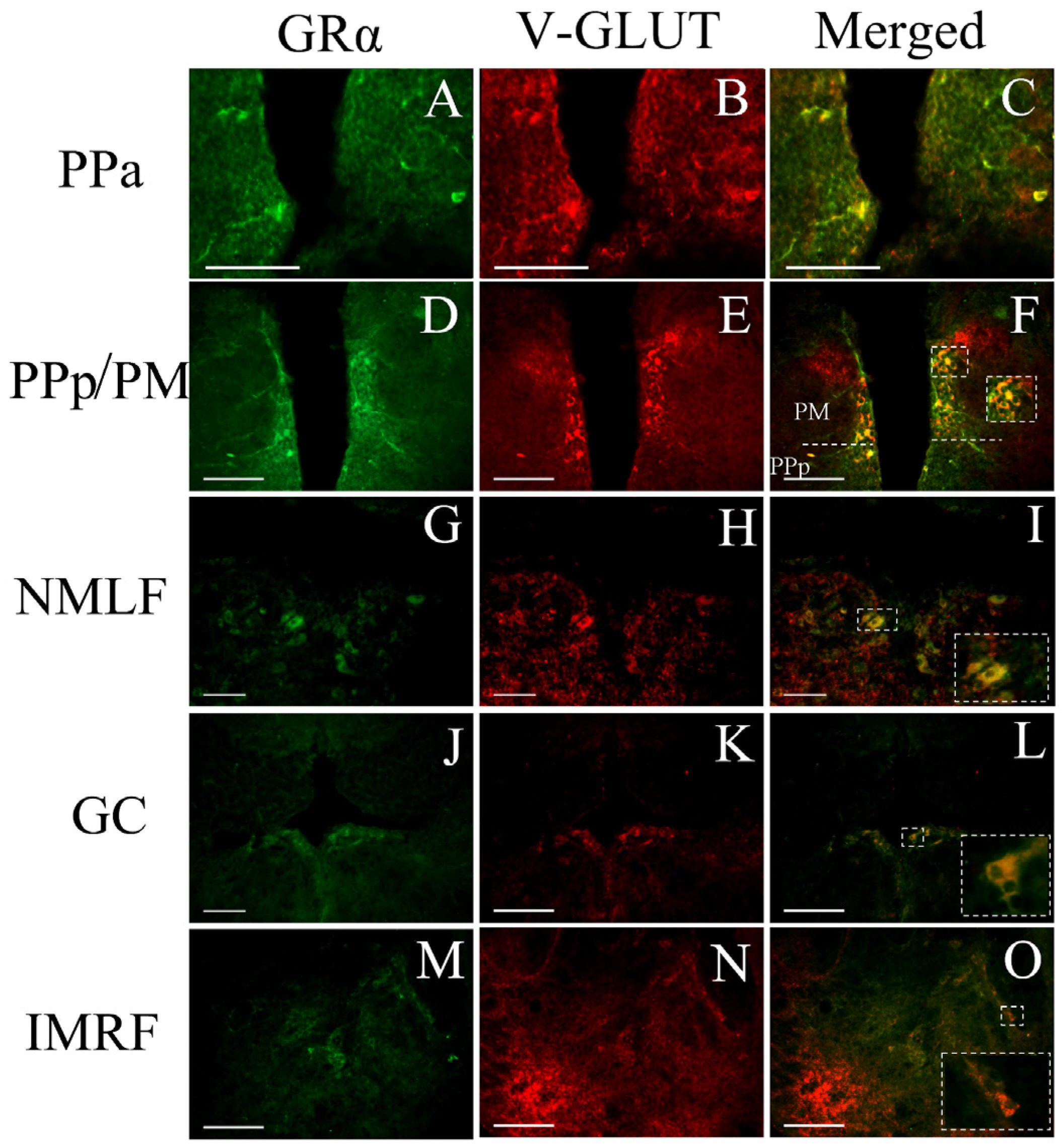 Brainsci 13 00861 g007