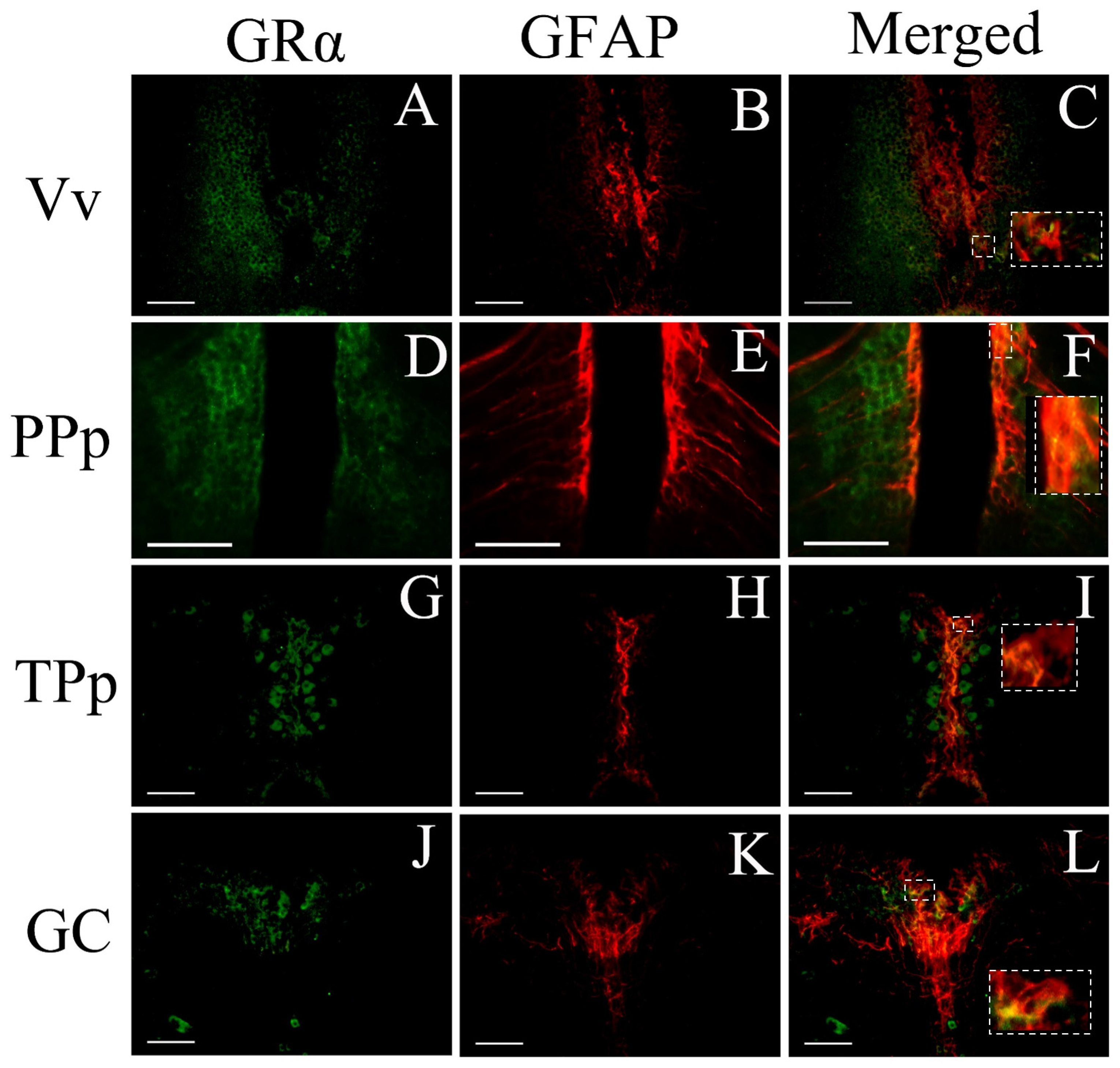 Brainsci 13 00861 g008