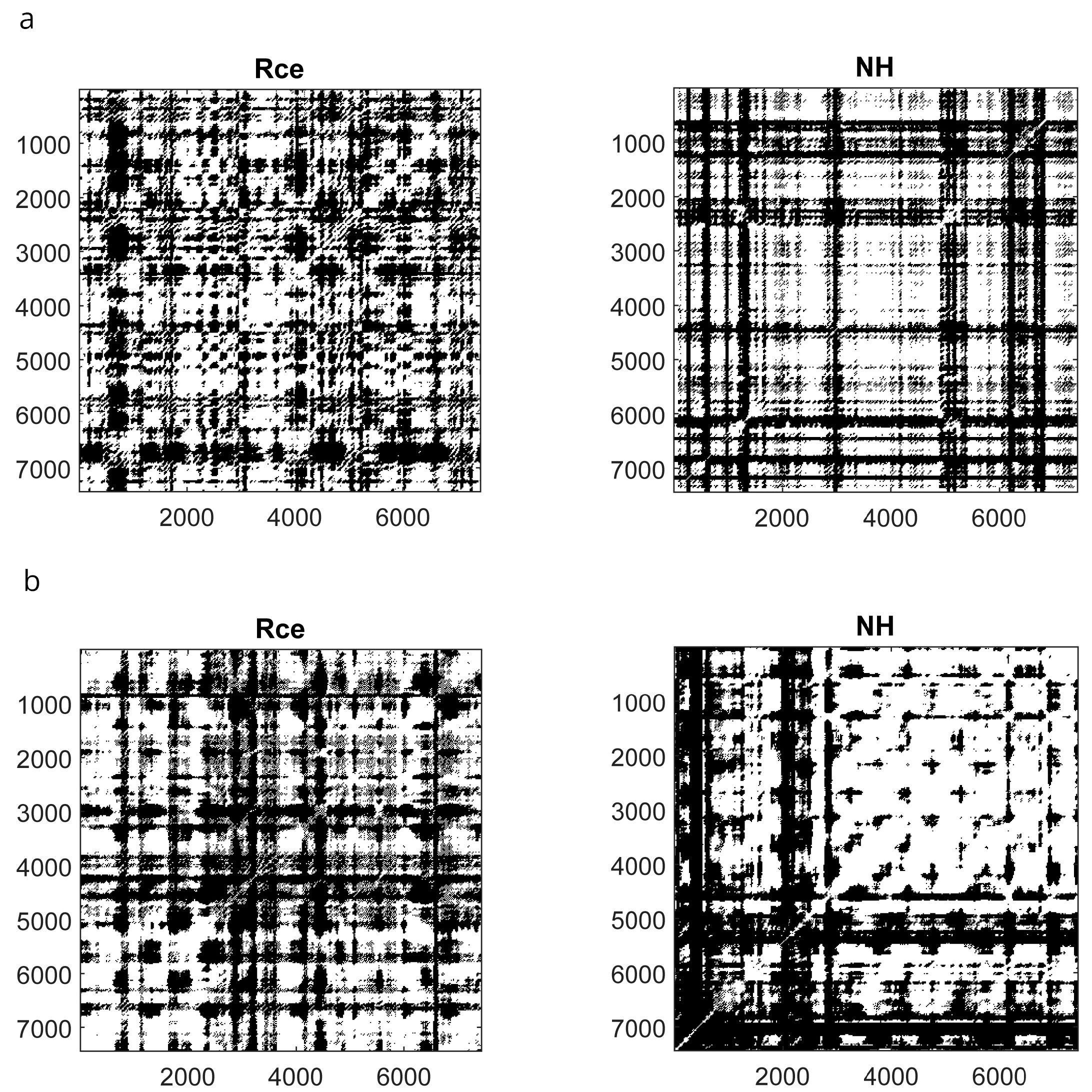 Brainsci 13 00875 g005