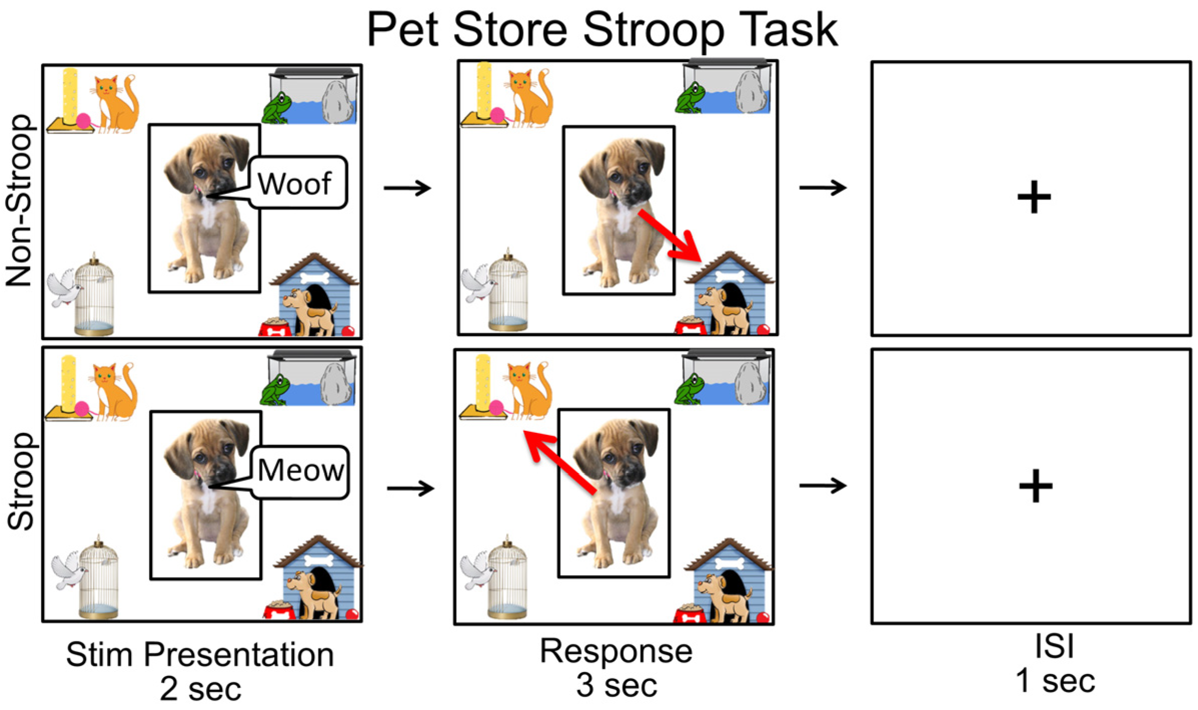 Brainsci 13 00882 g001