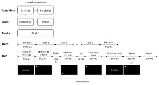 Brainsci 13 00886 g003